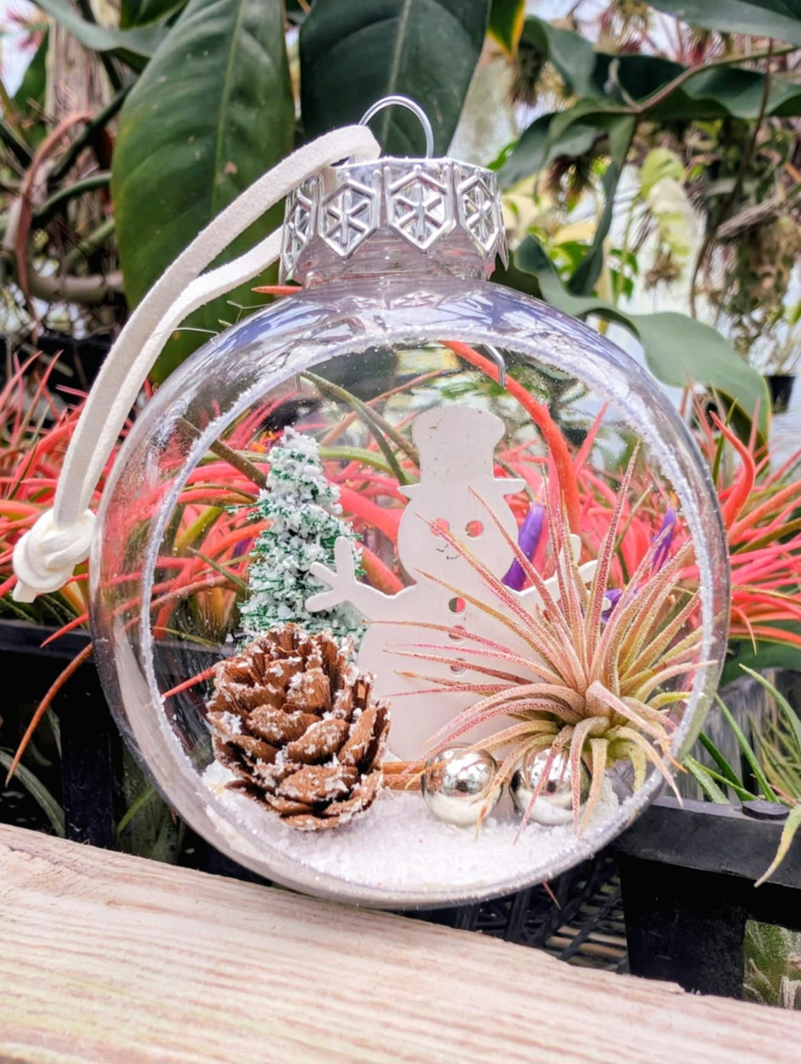Christmas Gift - Snowman Snow Globe Ornament with Ionantha Air Plant