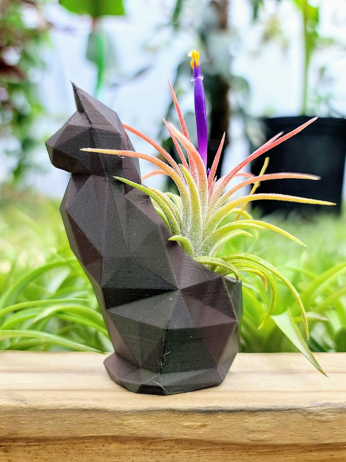 Small Cat 3D Printed Holder w/ Ionantha - Metallic Green