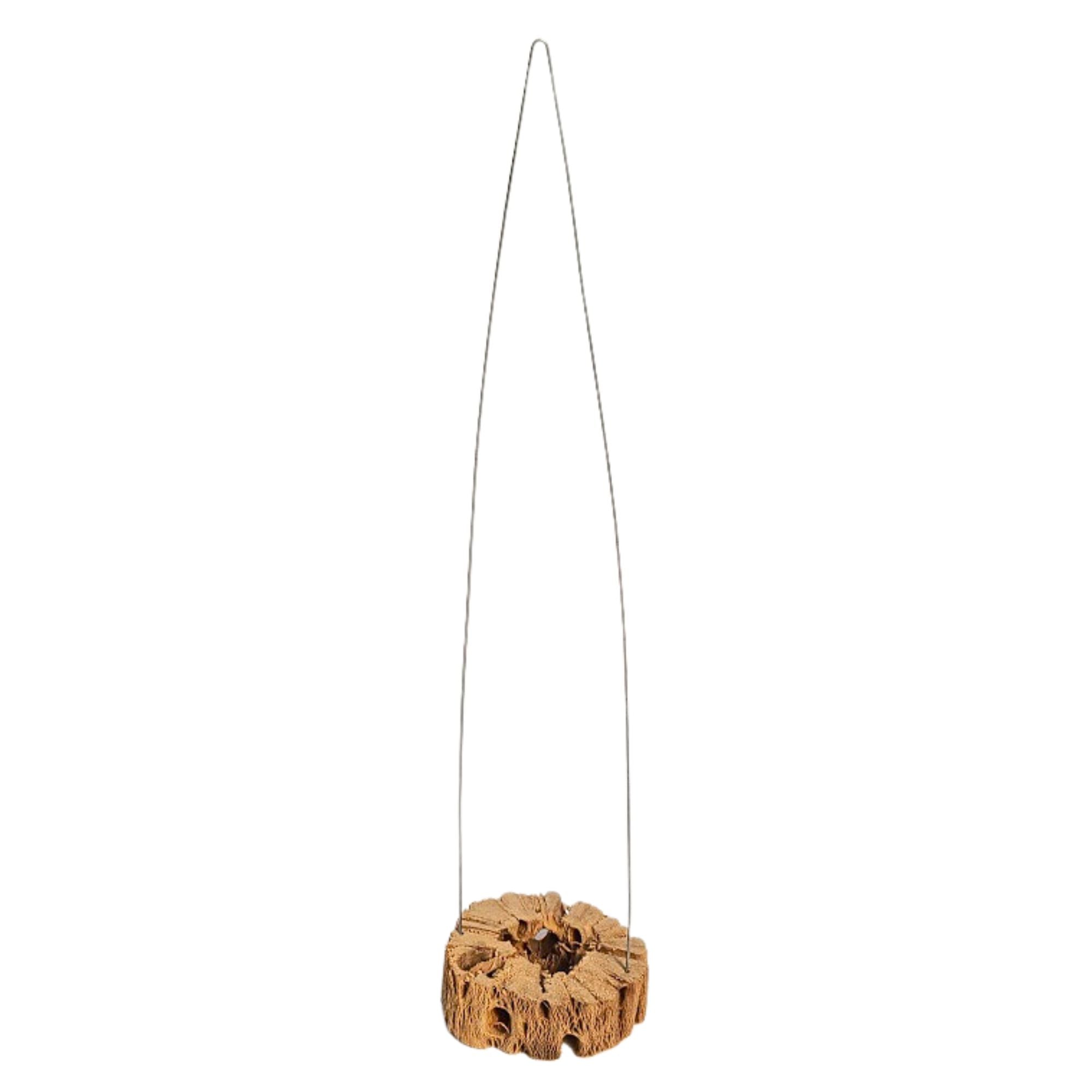 Hanging Cholla Wood Ring Holder