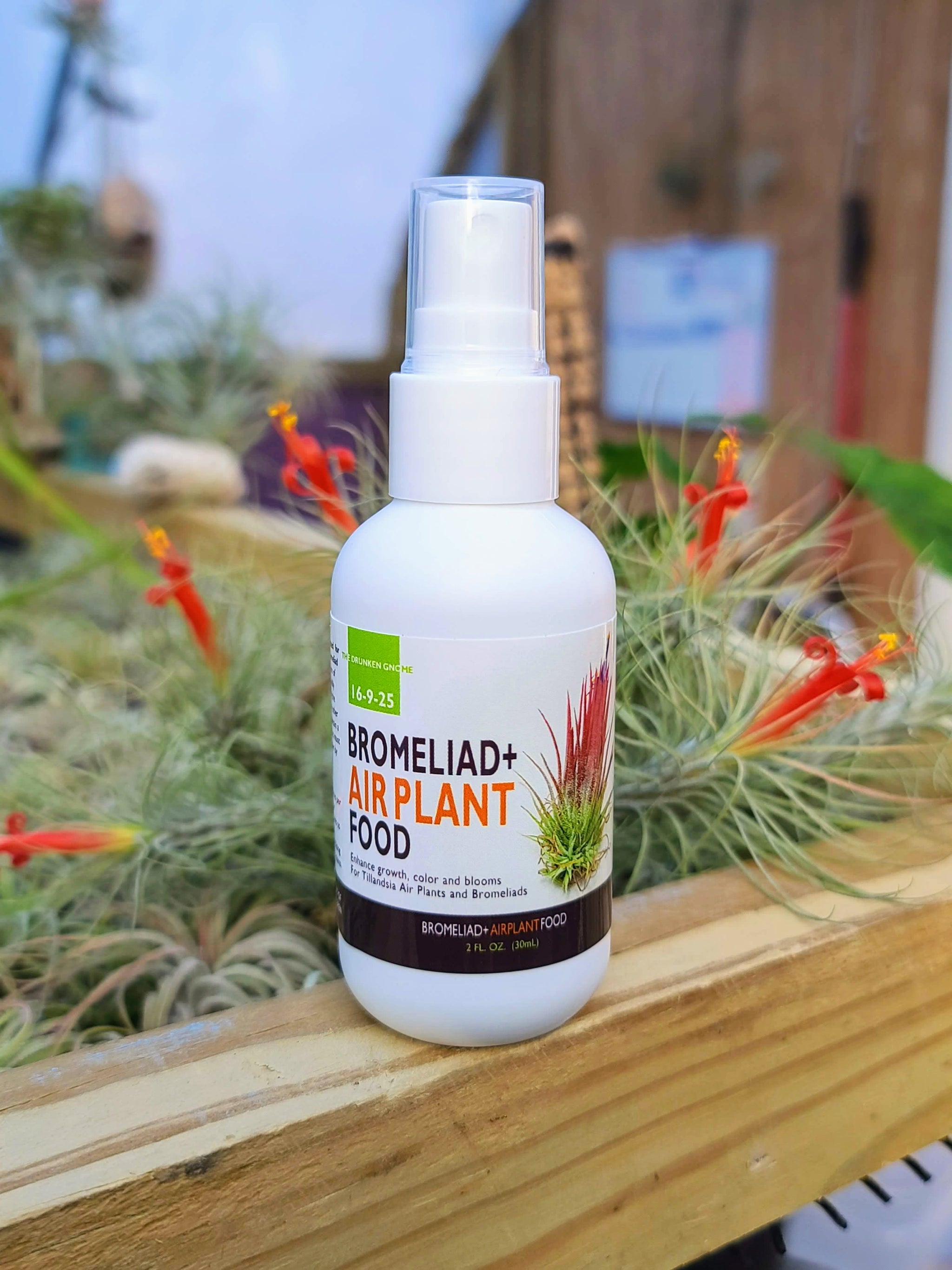 2oz Air Plant Food and Fertilizer