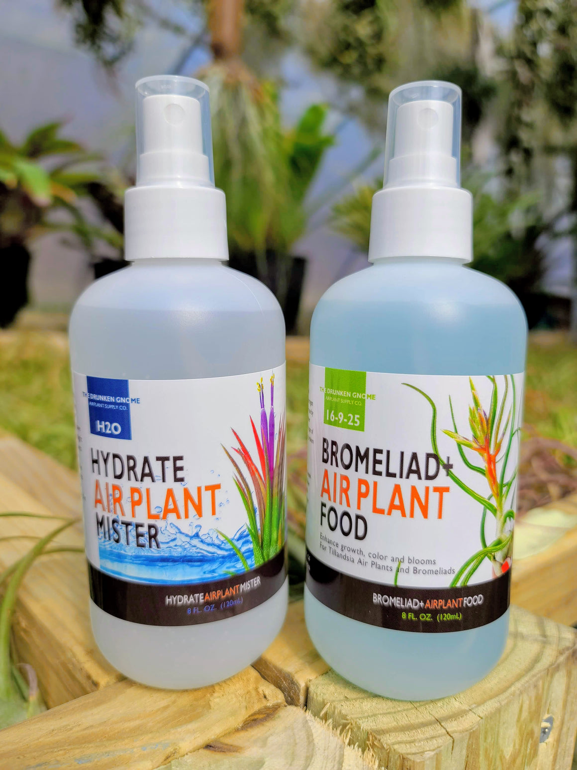 8oz Air Plant Food and Fertilizer PLUS Mister