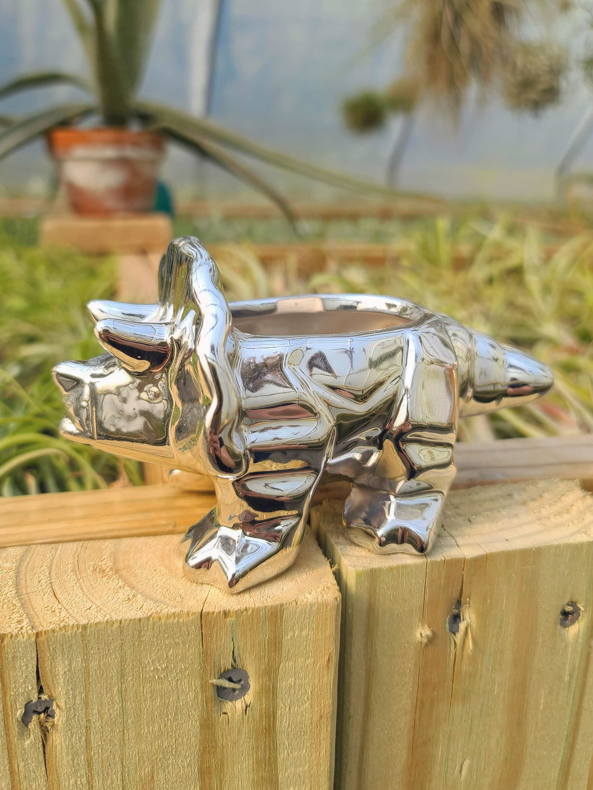 Ceramic Triceratops Plant Holder Chrome