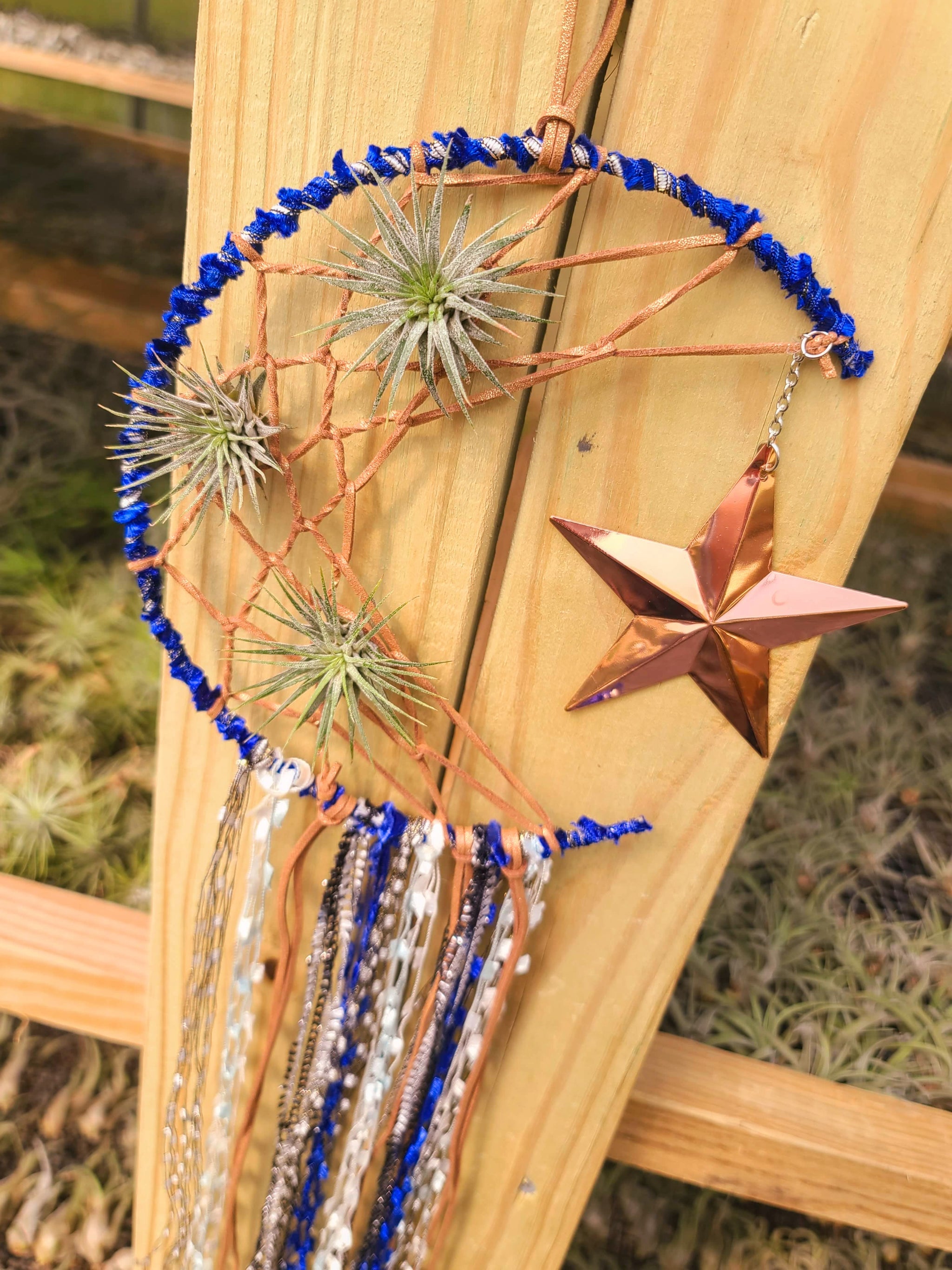 Moon Dreamcatcher with 3 Ionantha Air Plants