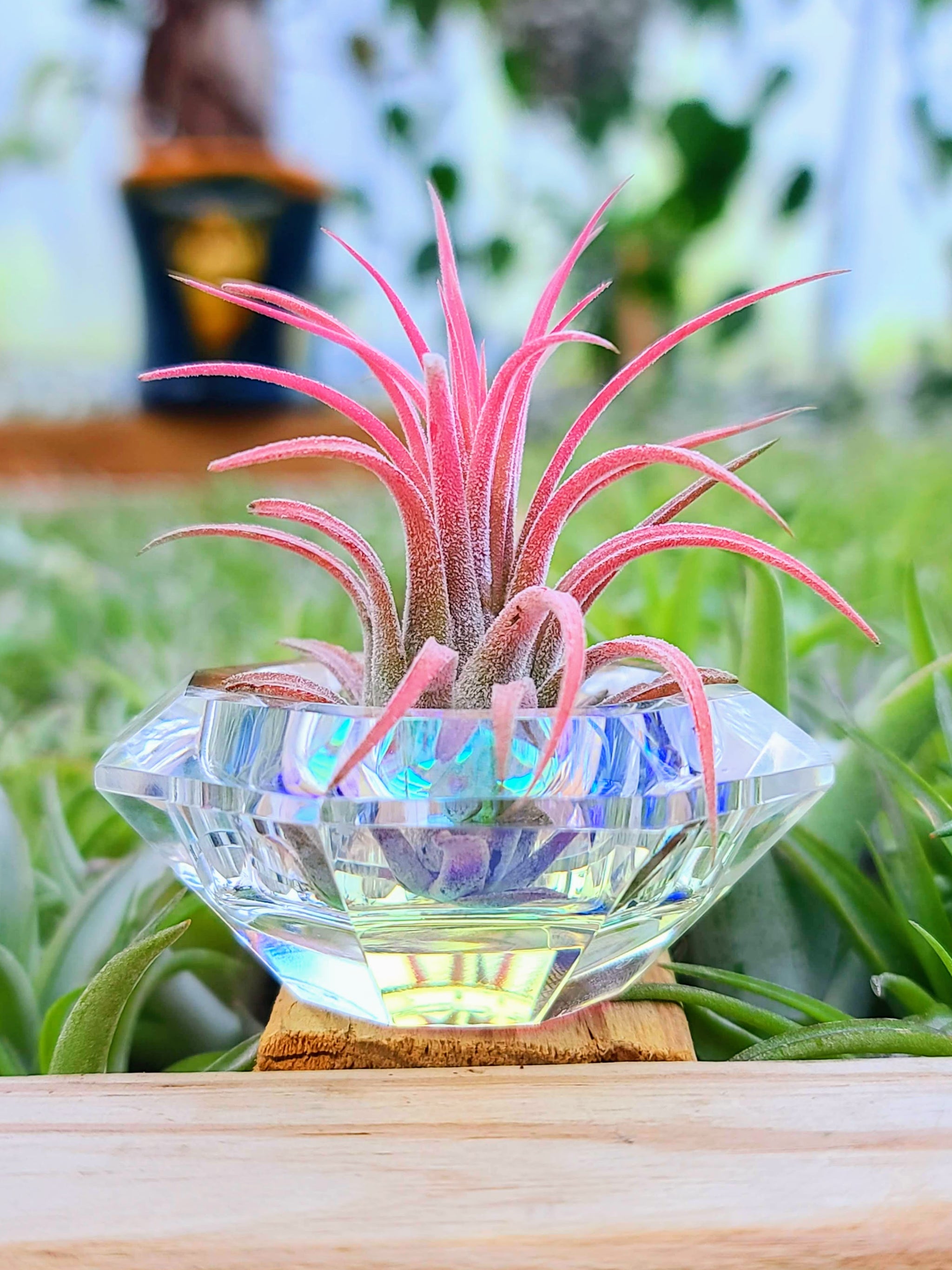 Iridescent Diamond Holder w/ Ionantha Rubra