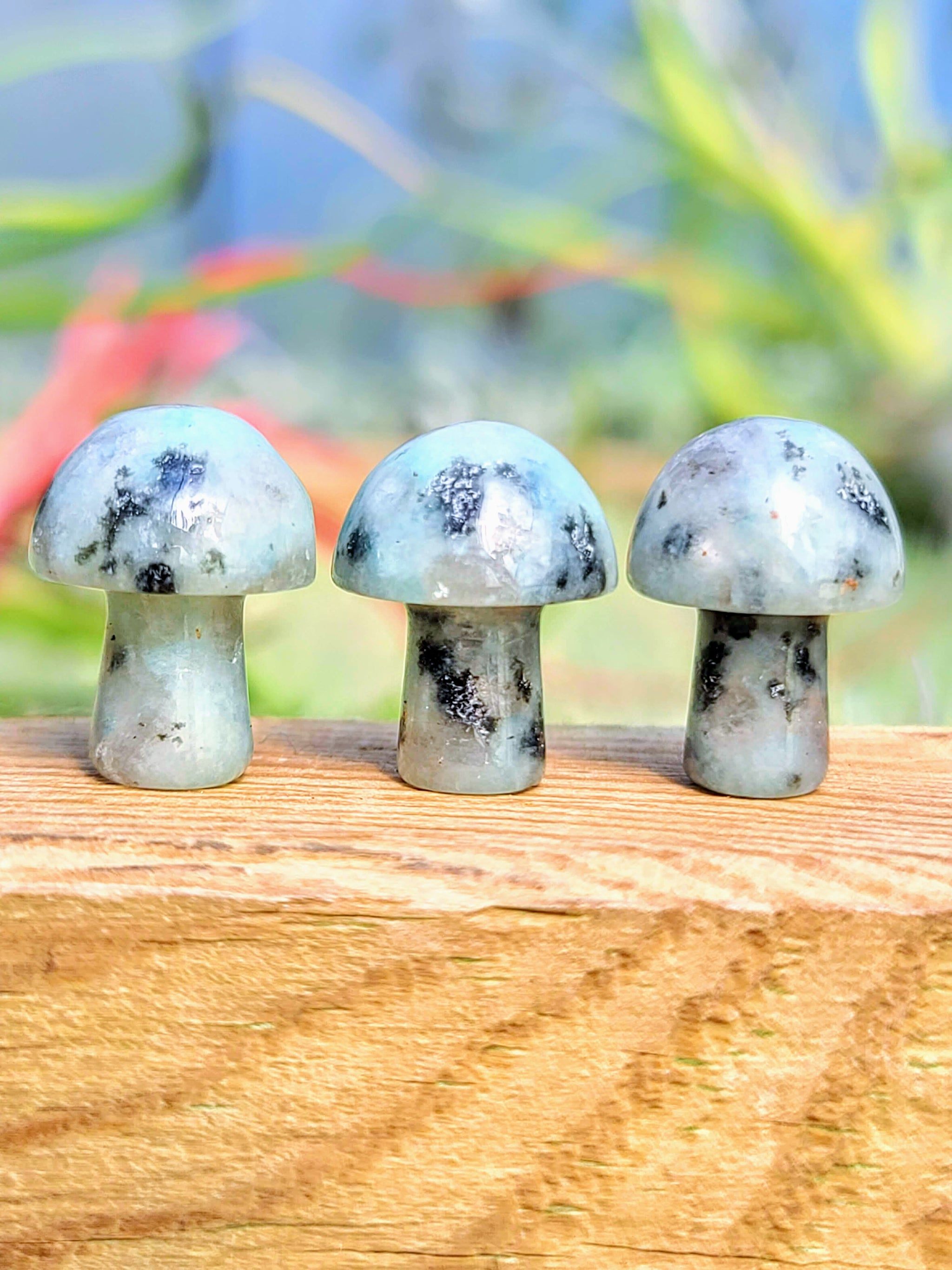 Mini Kiwi Jasper Crystal Mushroom