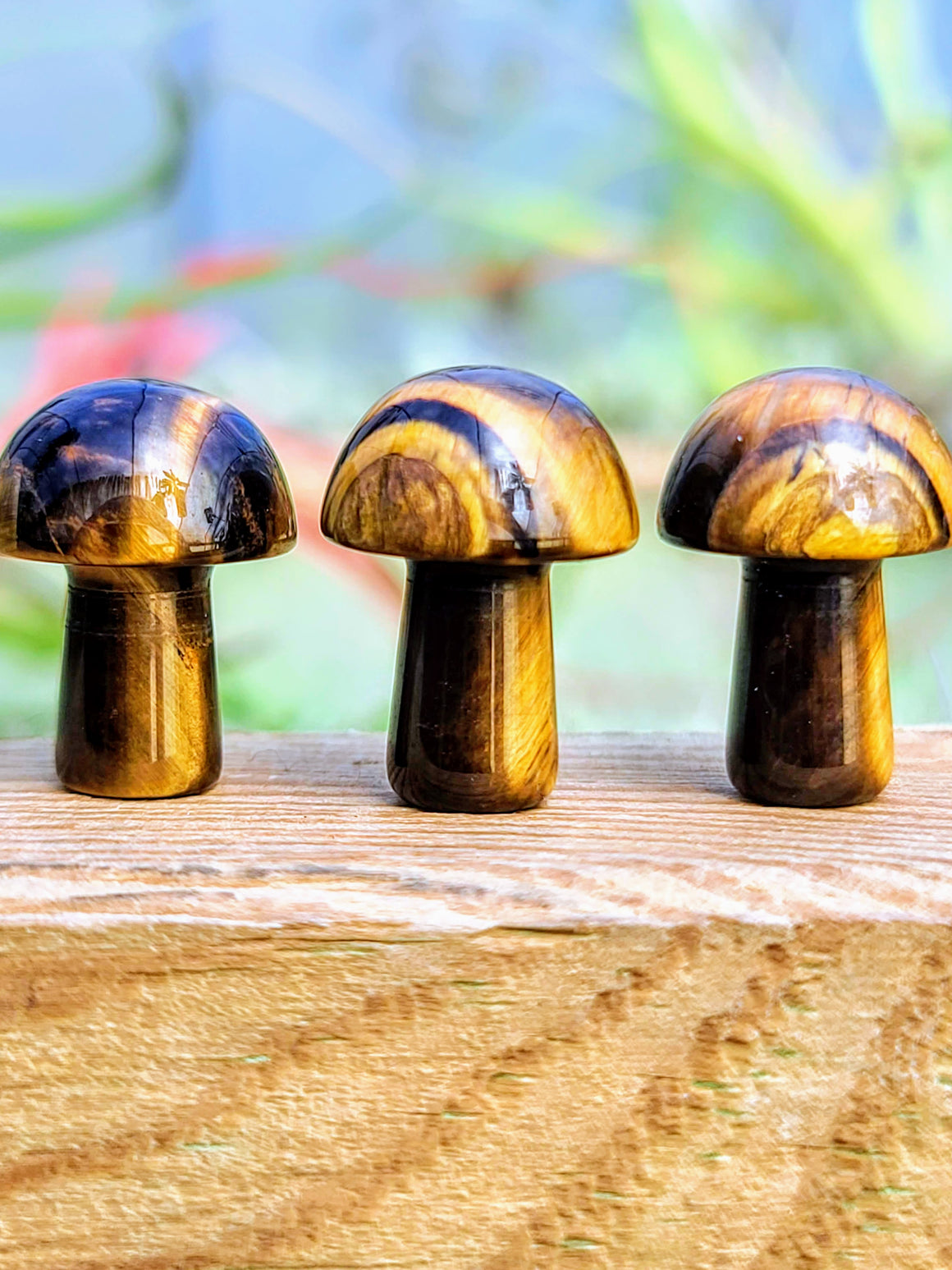 Mini Tigers Eye Crystal Mushroom
