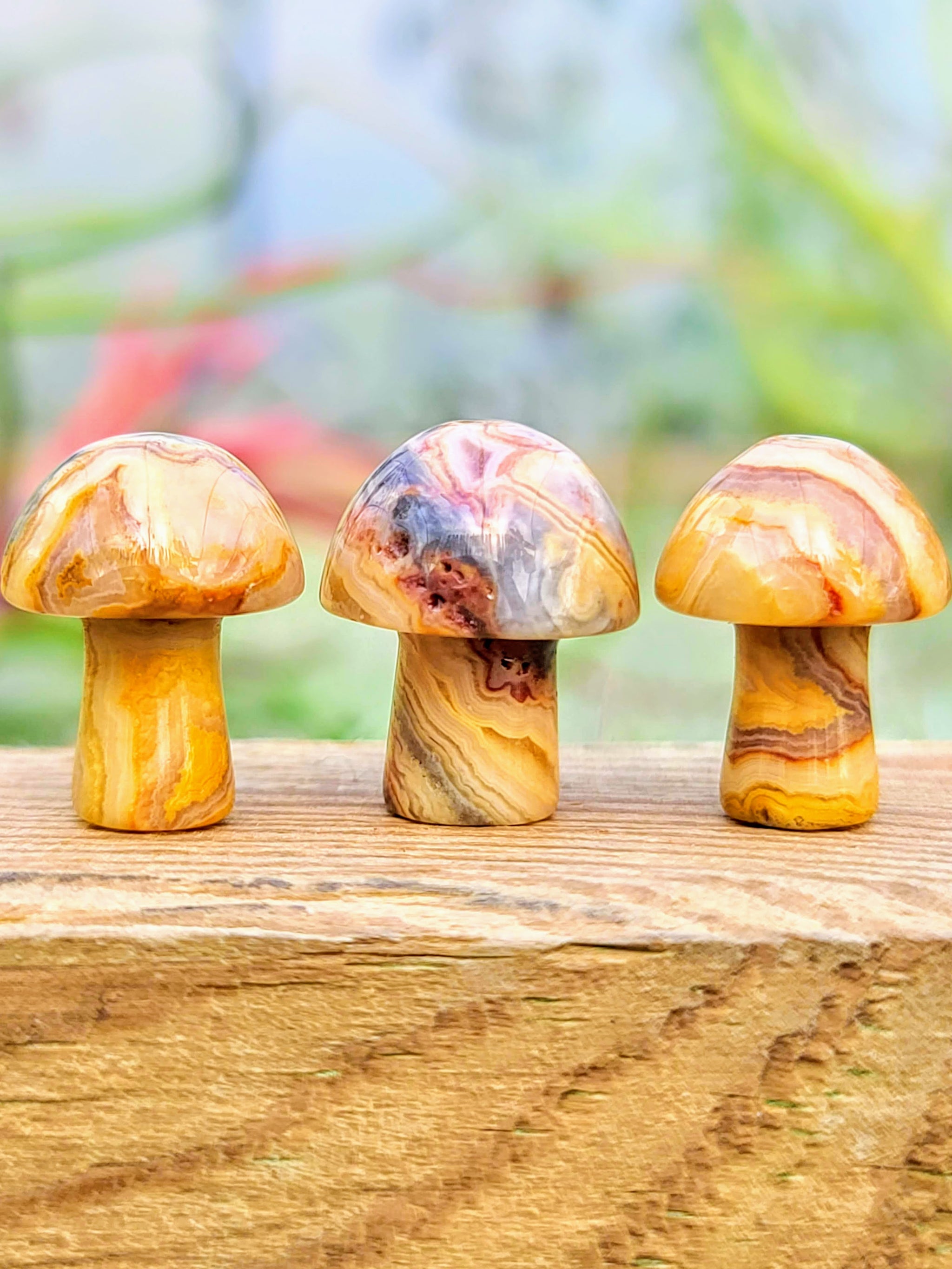 Mini Crazy Lace Agate Crystal Mushroom
