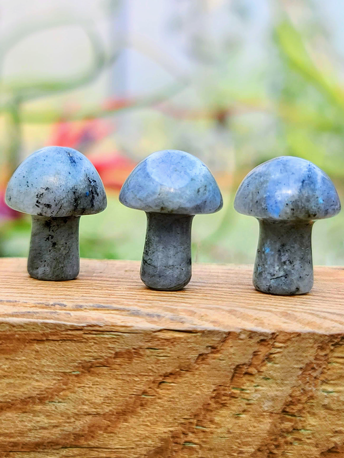 Mini Labradorite Crystal Mushroom