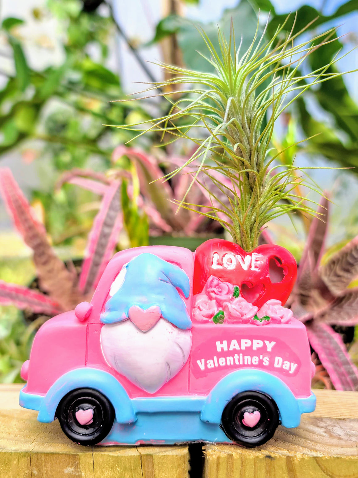 Pink Valentines Gnome Truck