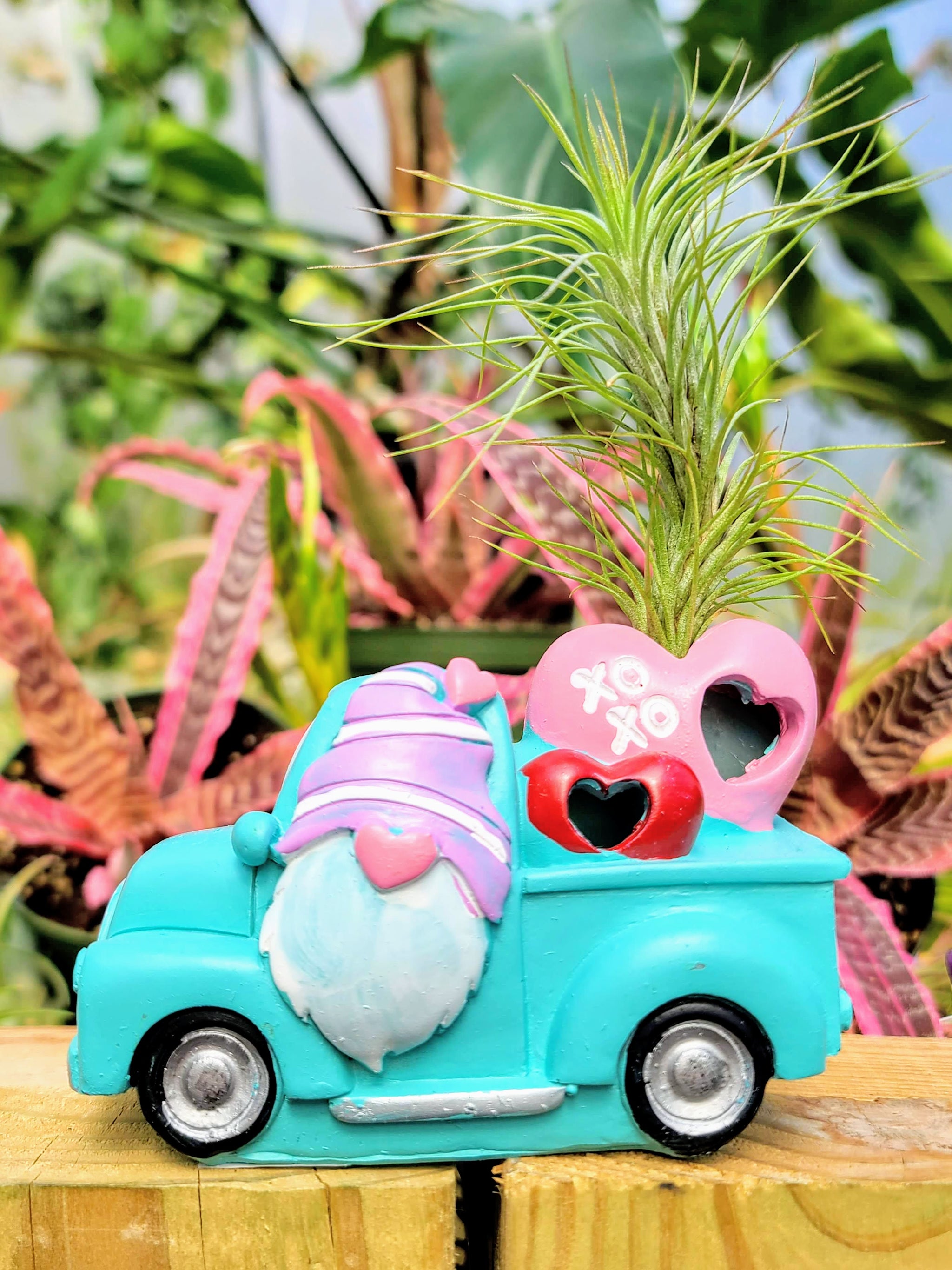Blue Valentines Gnome Truck