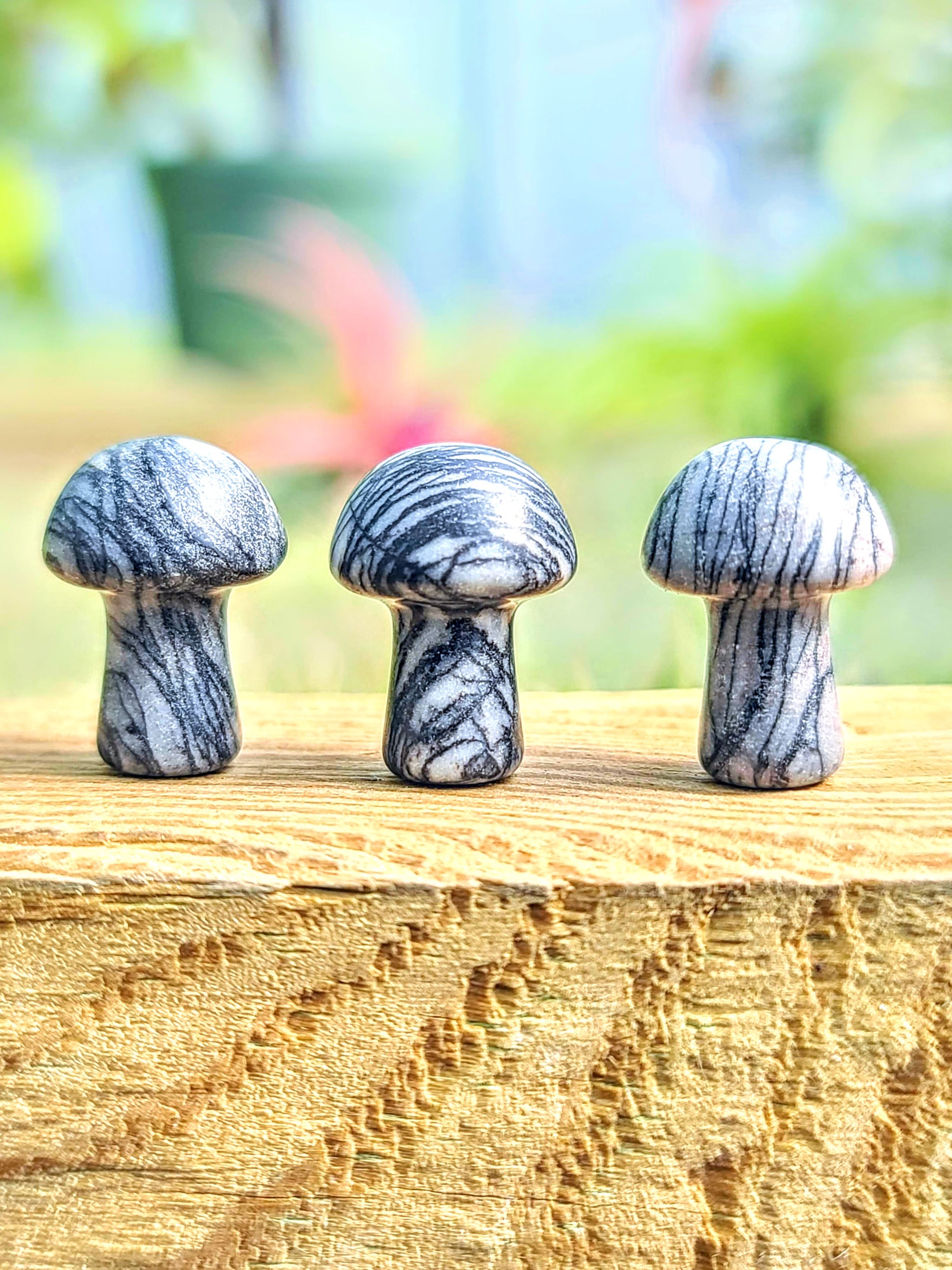 Mini Black Spider Web Crystal Mushroom