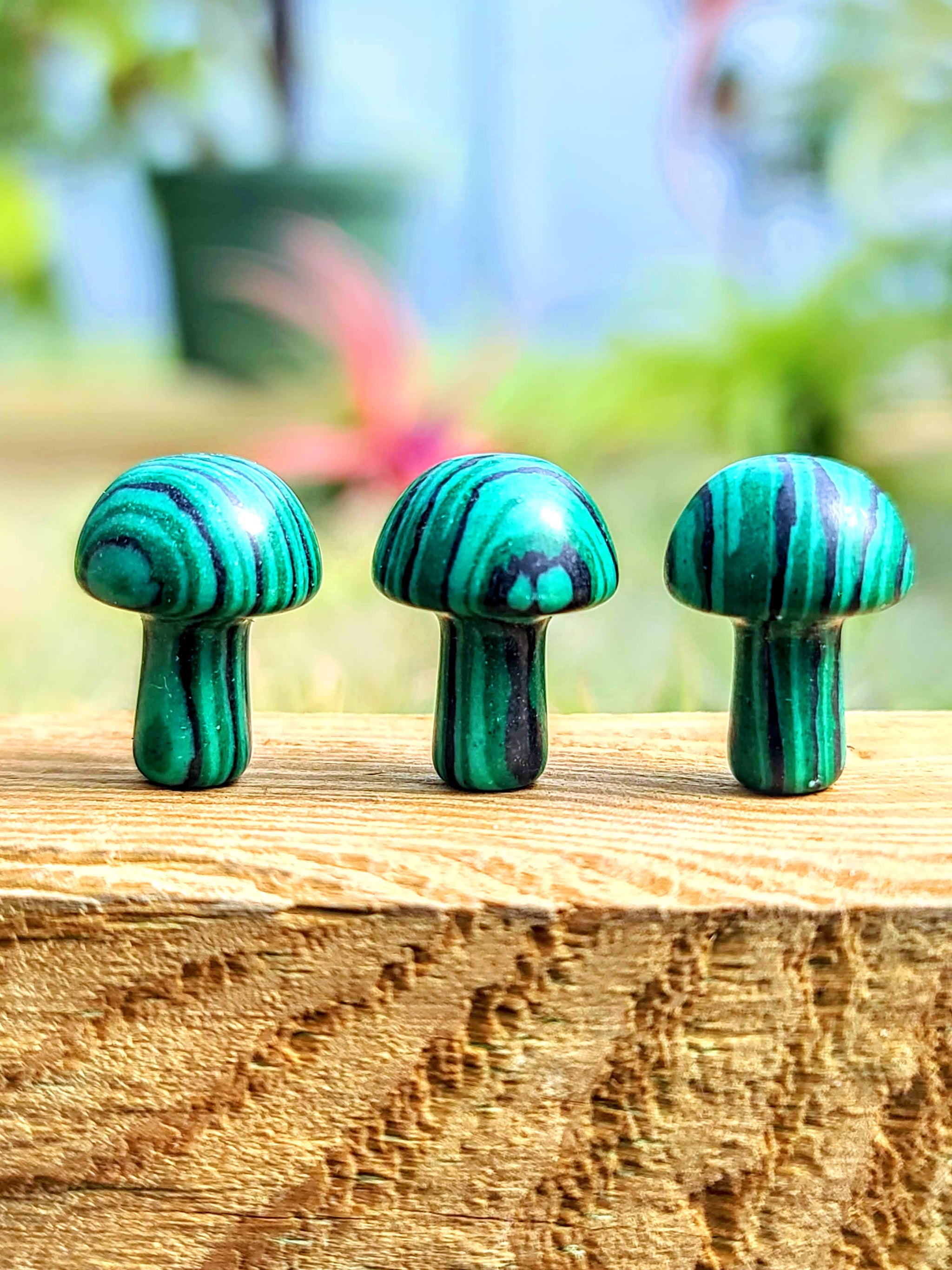 Mini Synthetic Malachite Crystal Mushroom