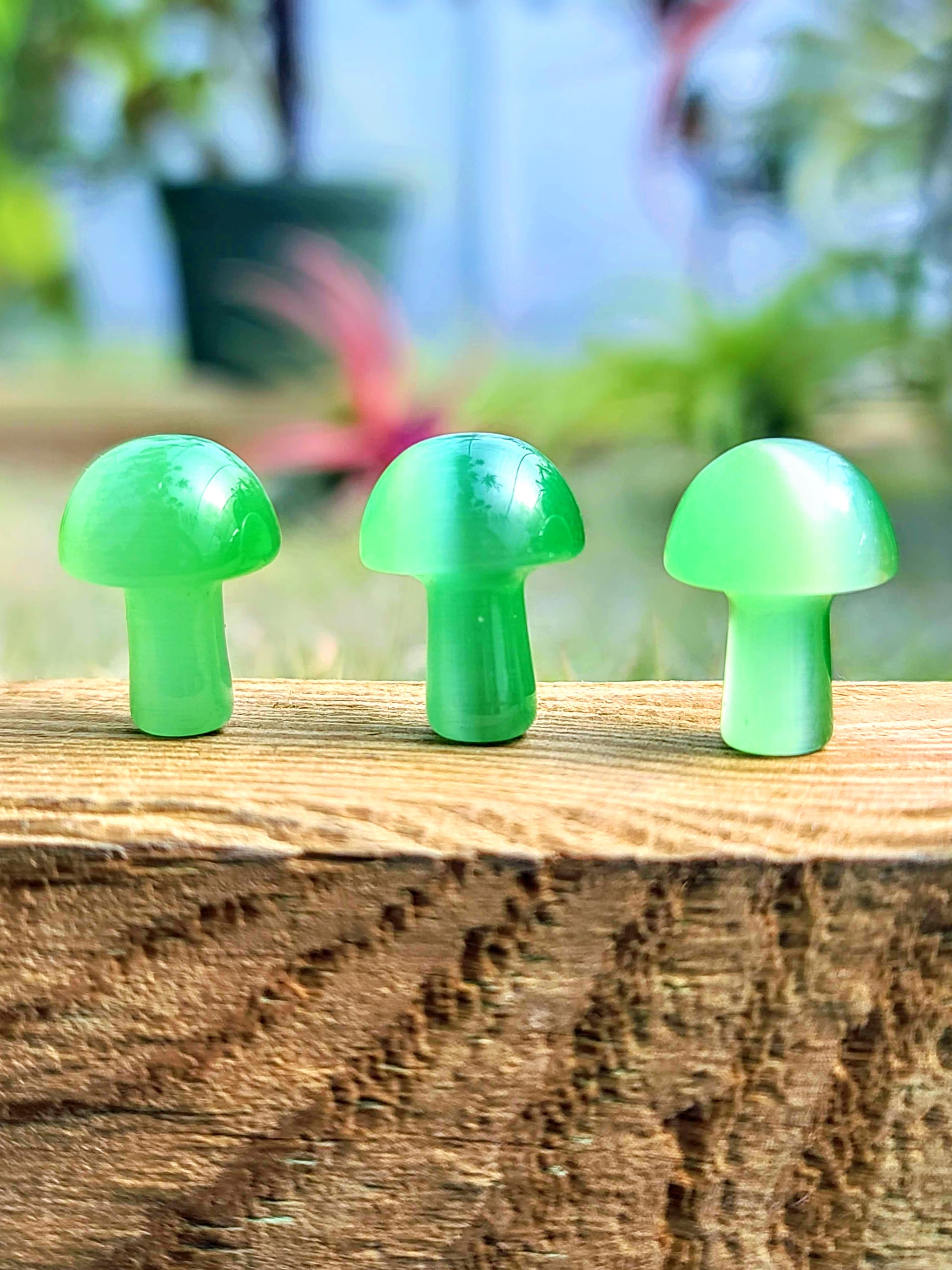 Mini Green Cats Eye Crystal Mushroom