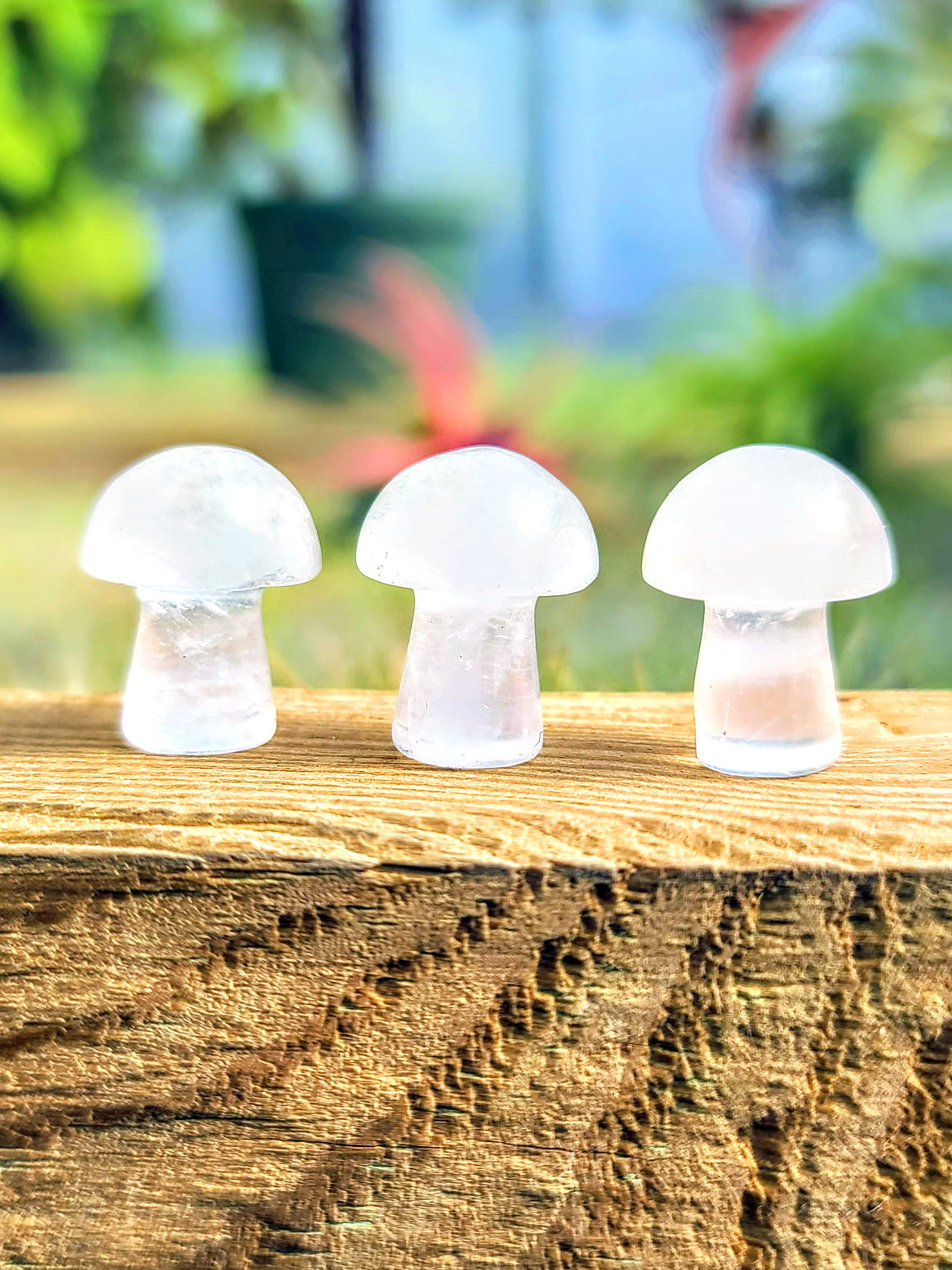 Mini Clear Quartz Crystal Mushroom