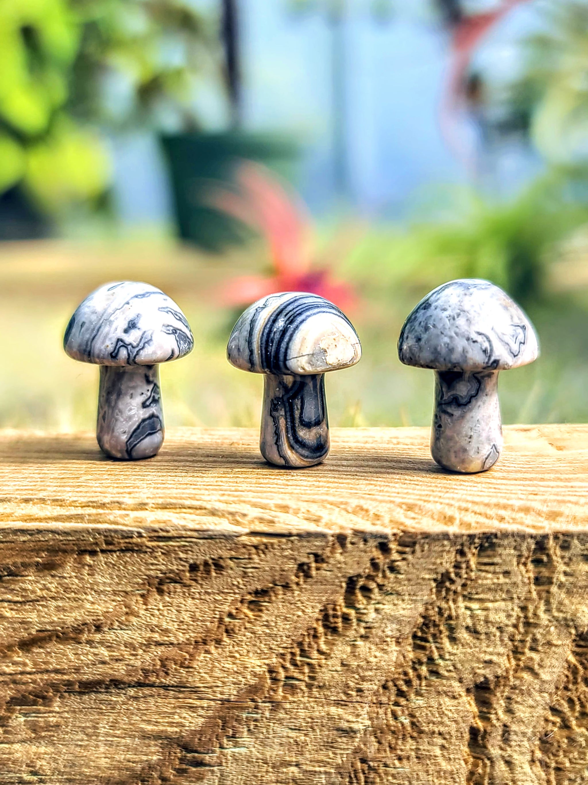 Mini Picasso Jasper Crystal Mushroom