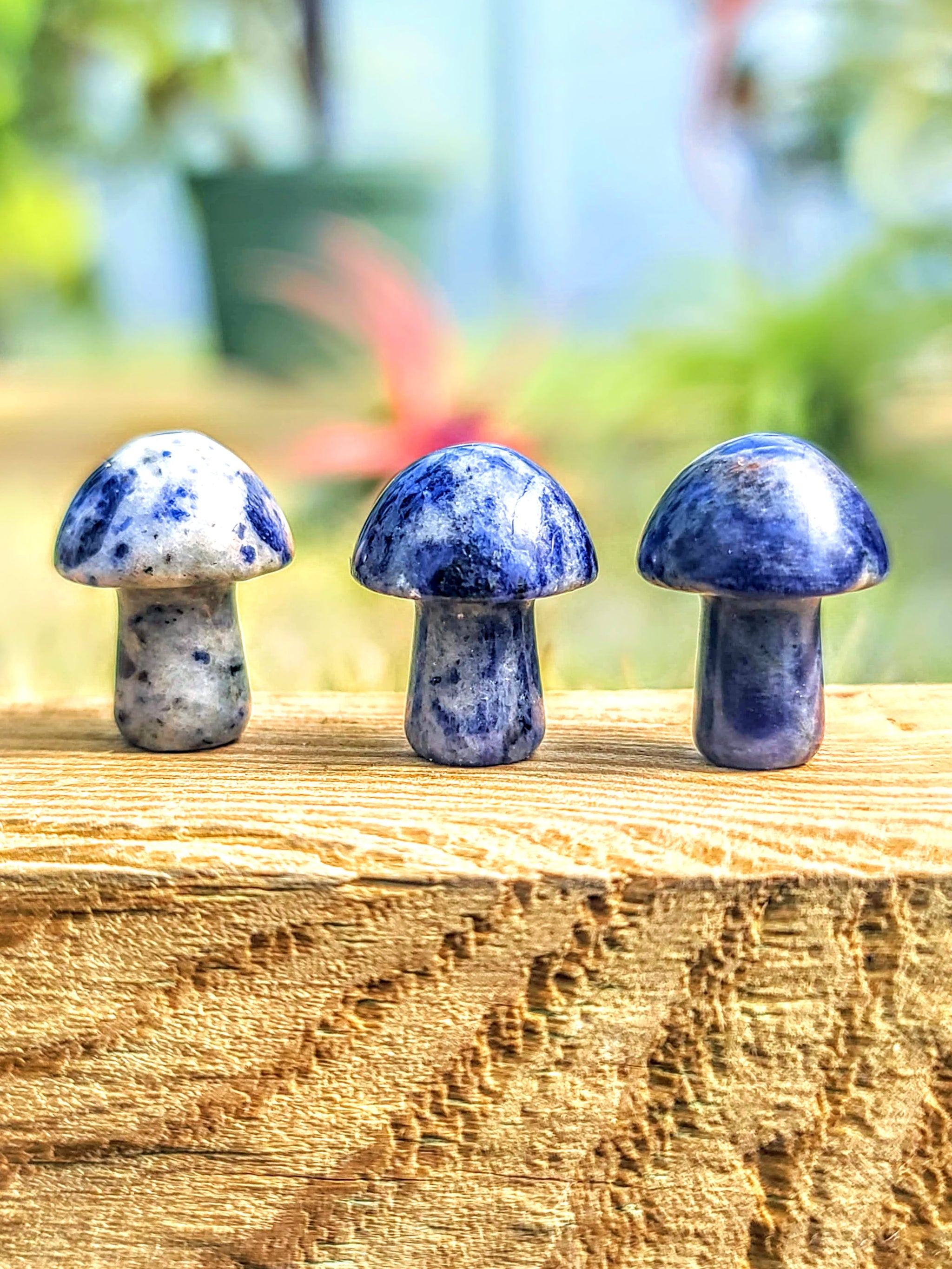 Mini Sodalite Crystal Mushroom