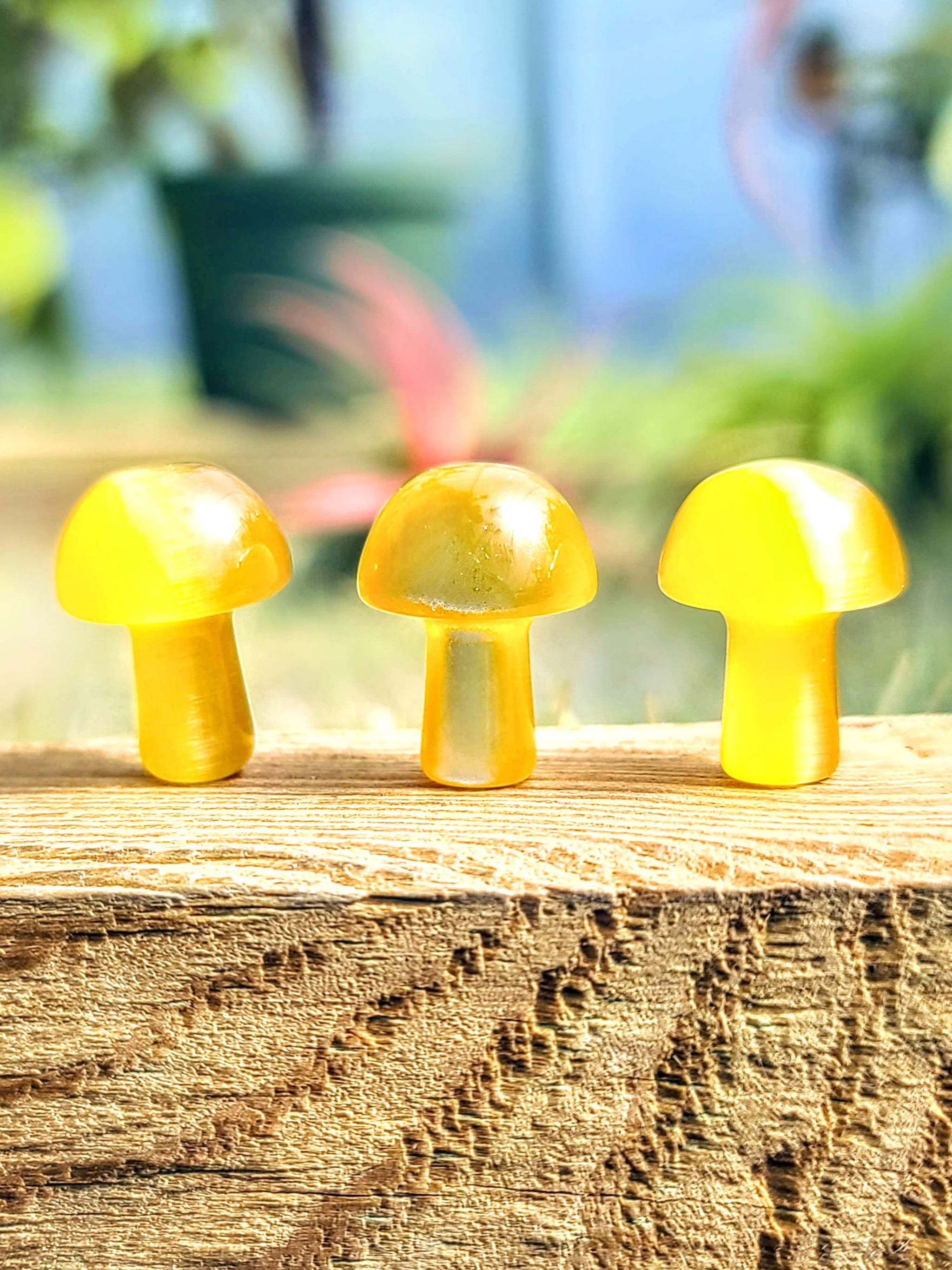 Yellow Cats Eye Crystal Mushroom
