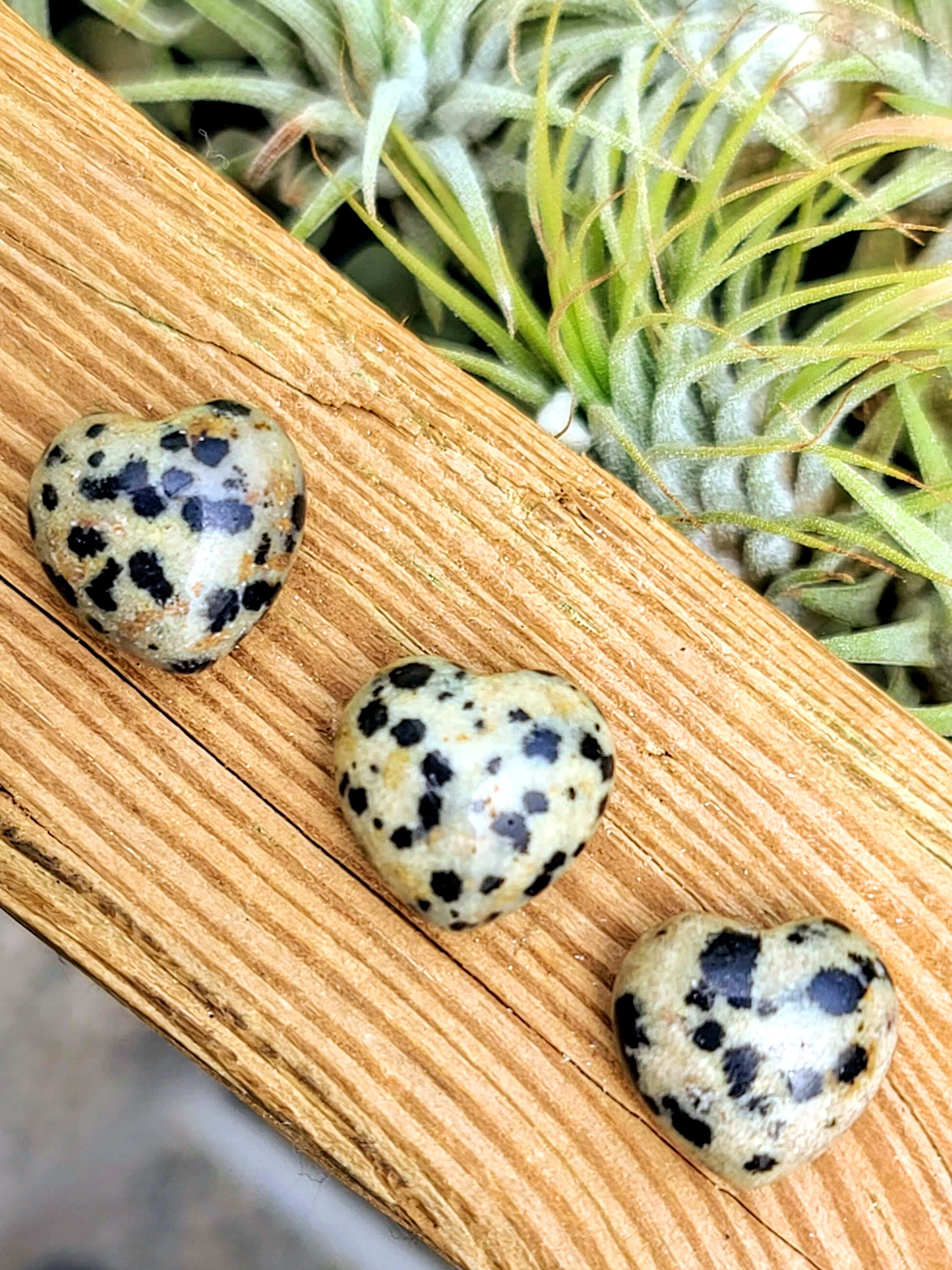 Mini Dalmatian Jasper Crystal Heart