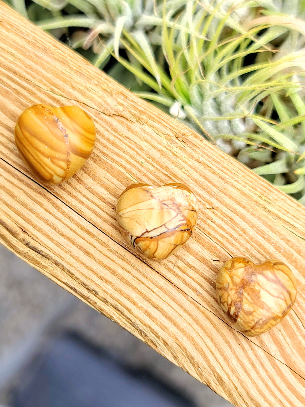 Mini Petrified Wood Crystal Heart