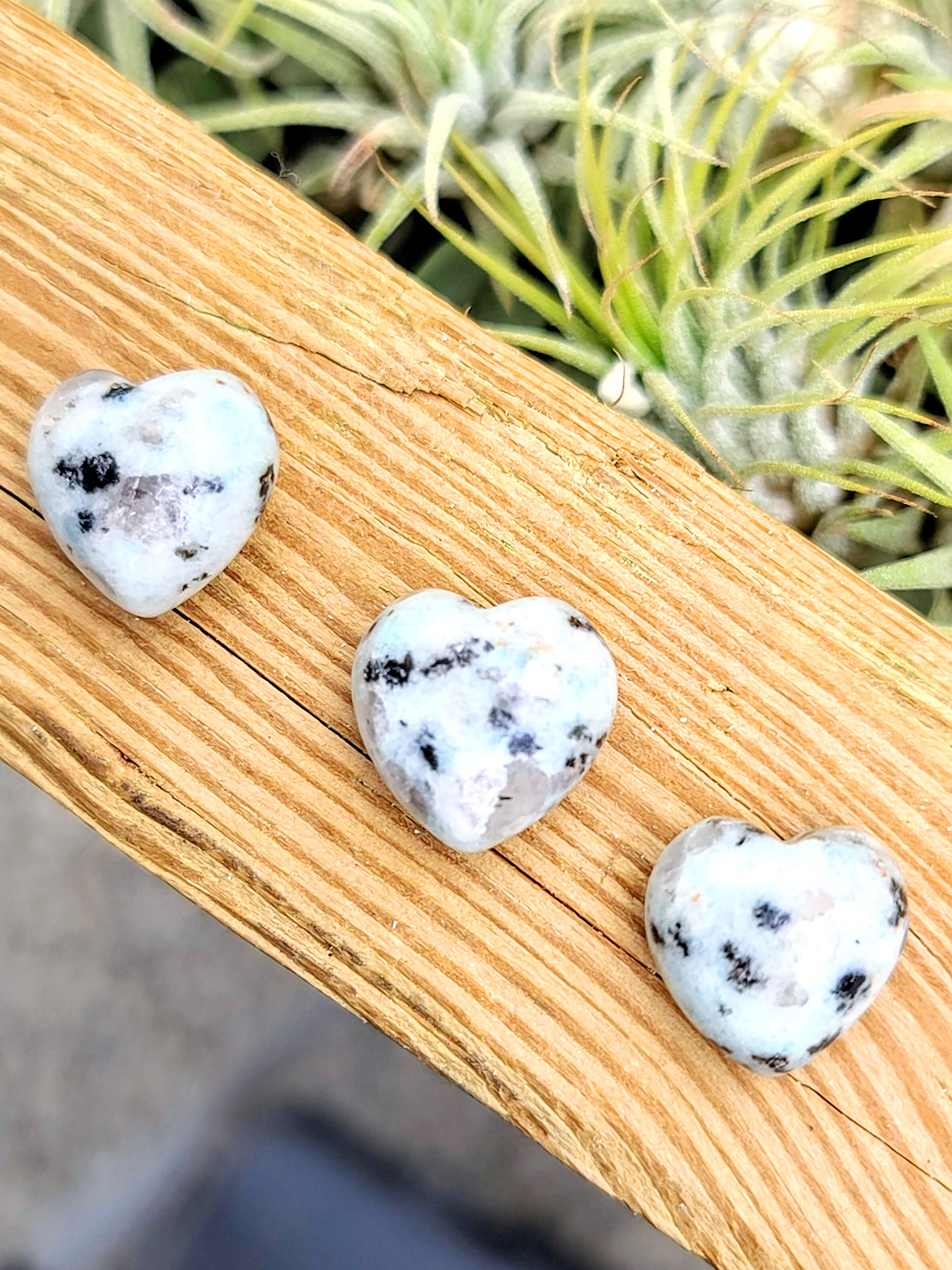 Mini Kiwi Jasper Crystal Heart