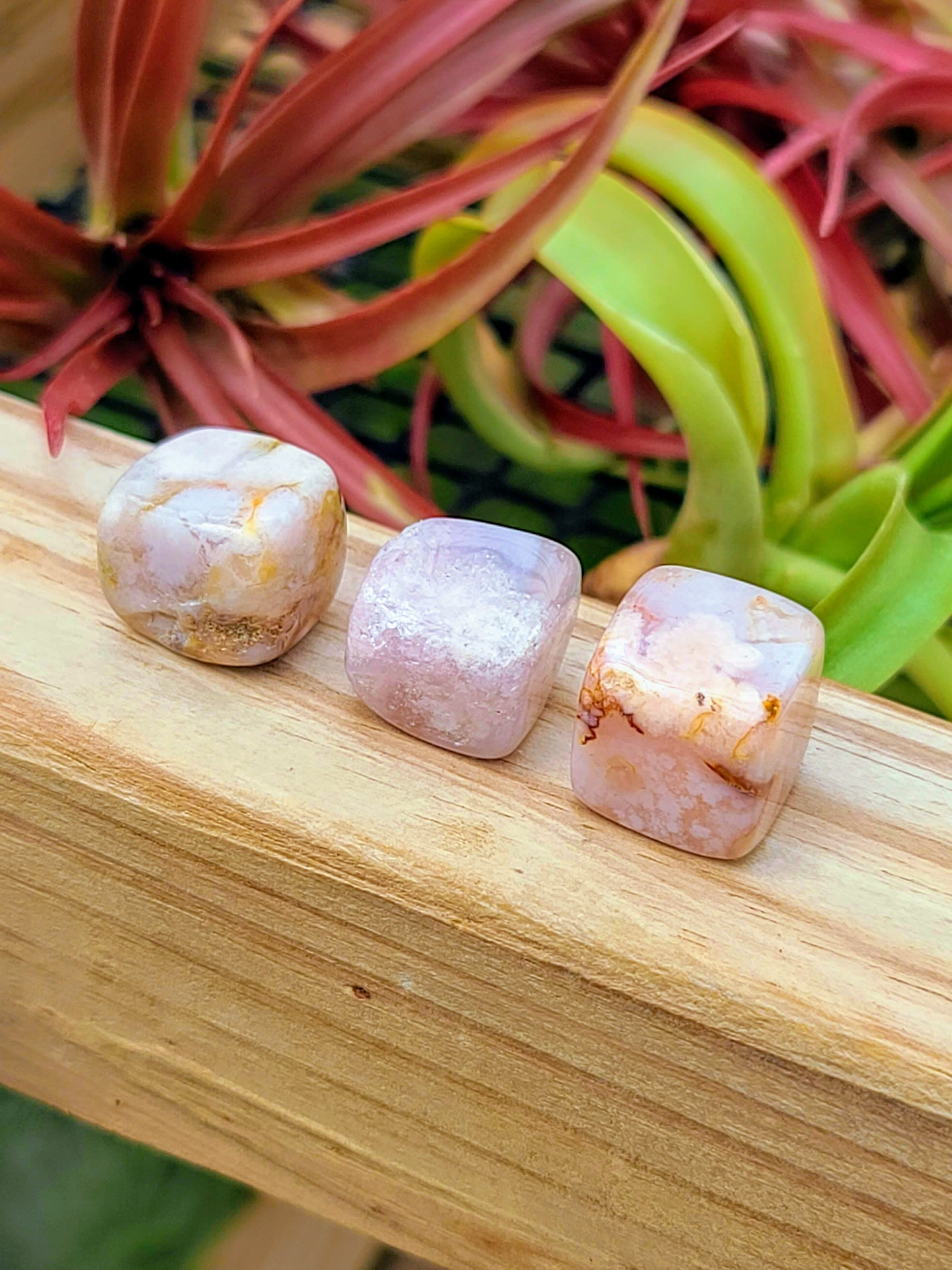 Flower Agate Cube