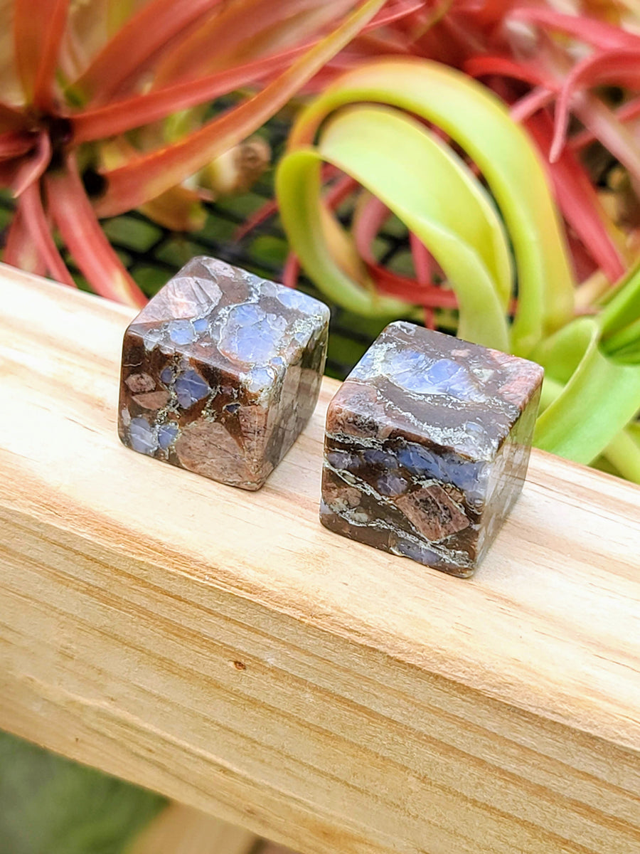 Que Sera Cube