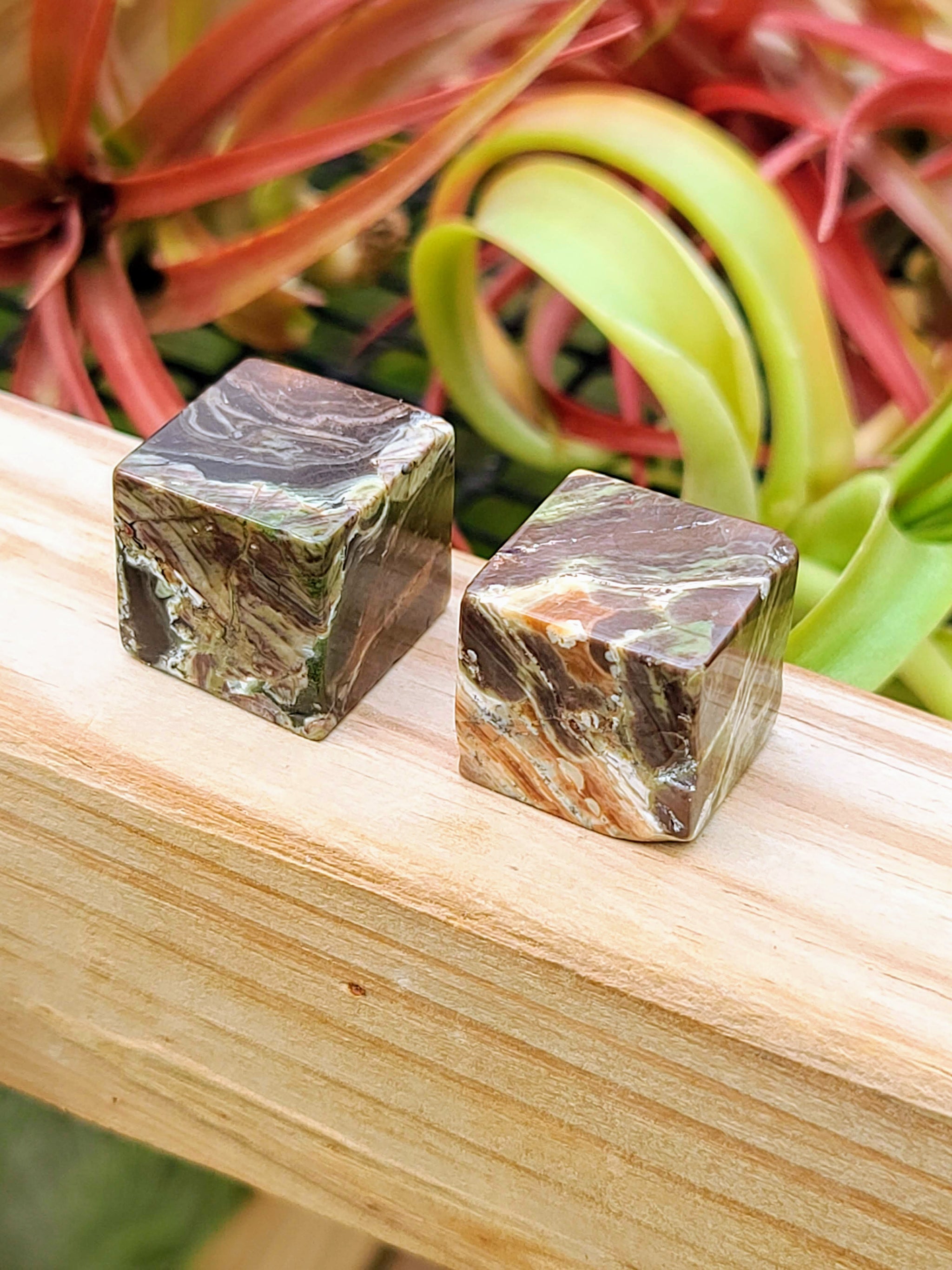 Rain Forest Jasper Cube