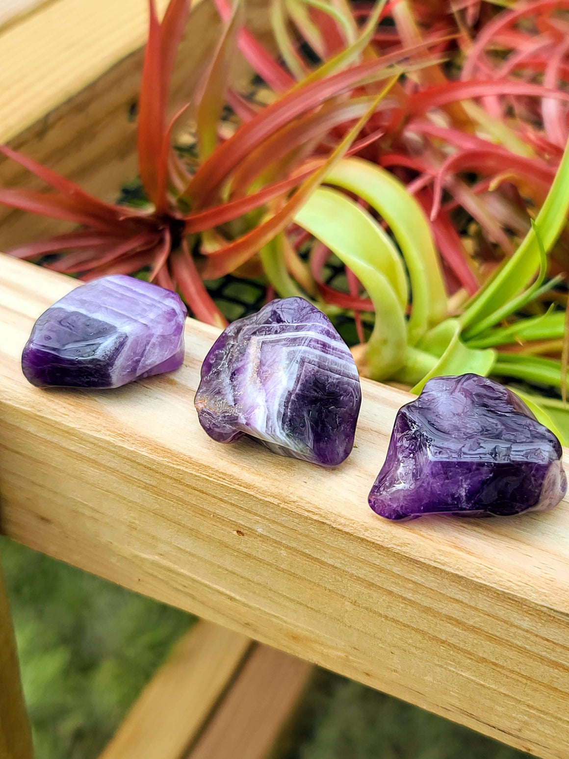 Dream Amethyst Tumble