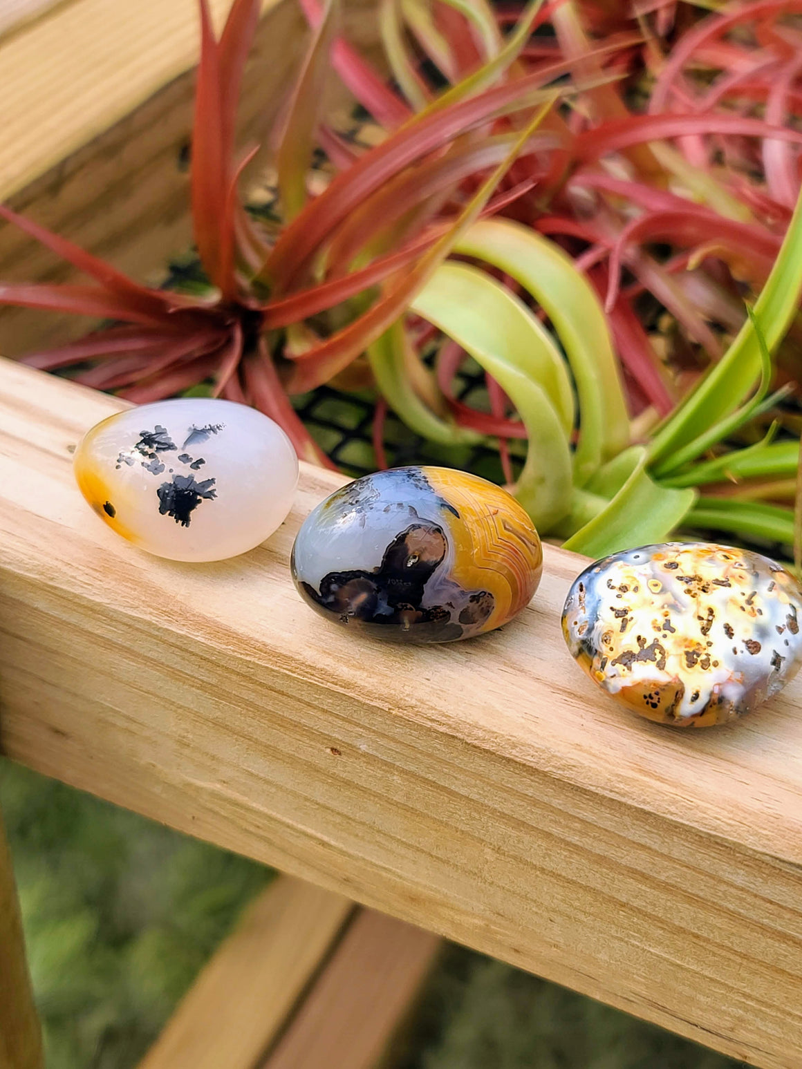 Botswana Agate Tumble