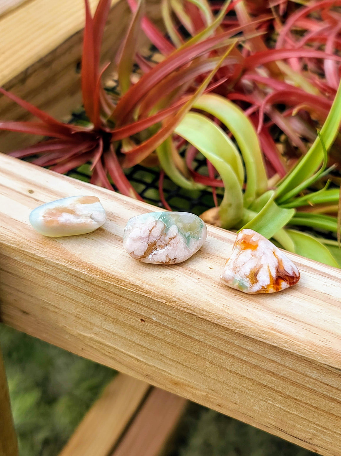 Green Flower Agate Tumble