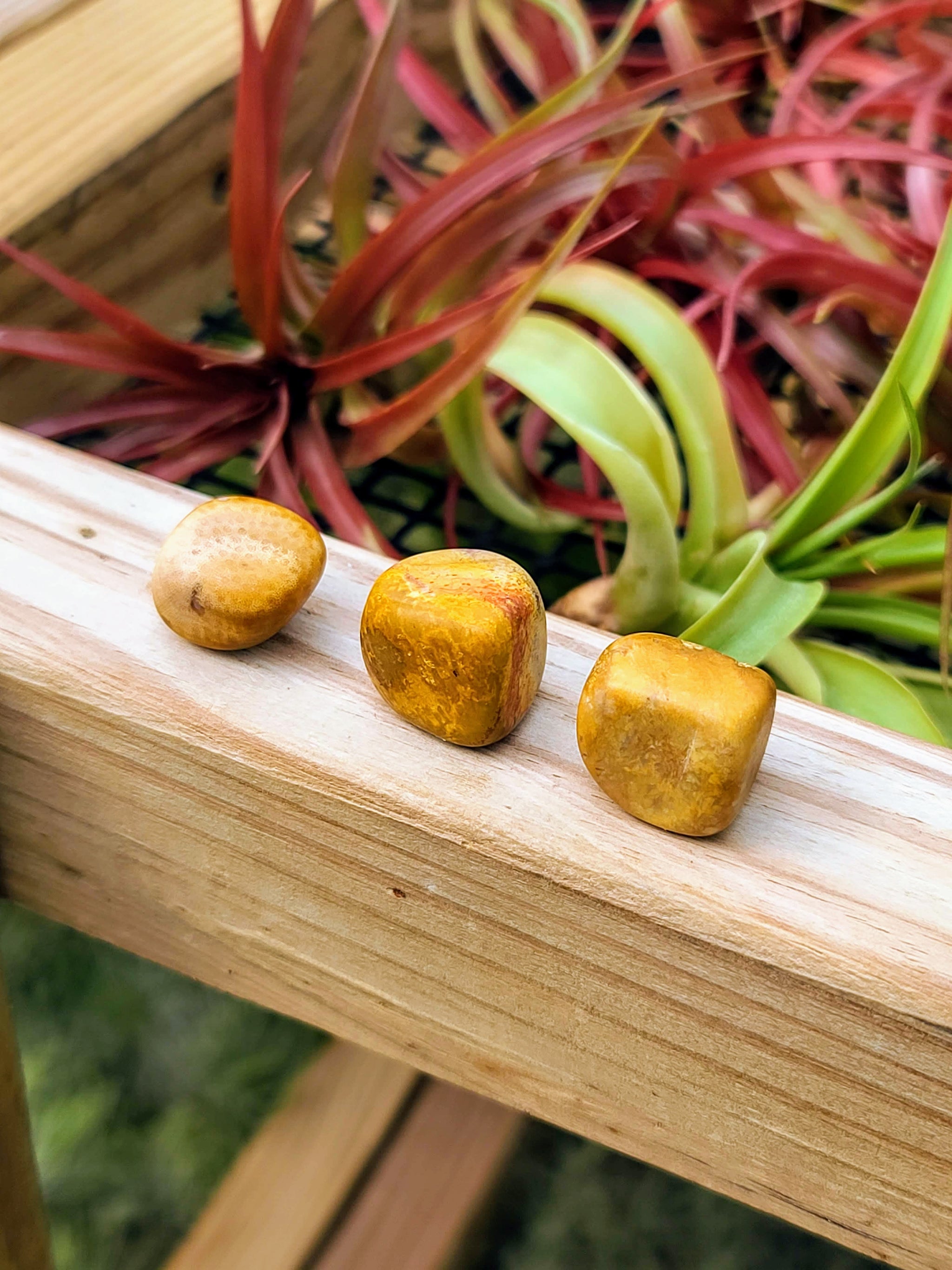 Crazy Lace Agate Tumble