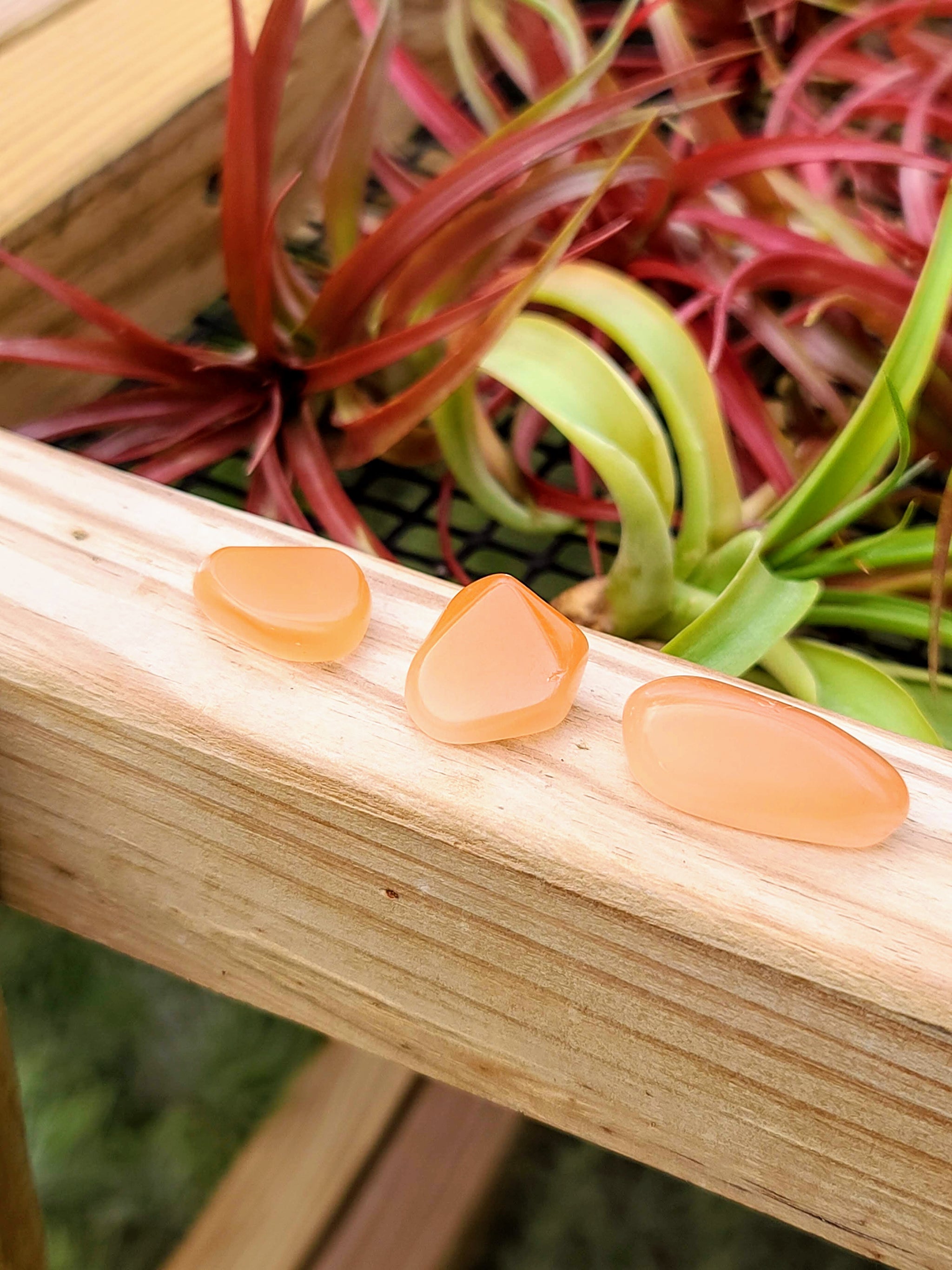 Orange Cats Eye Tumble