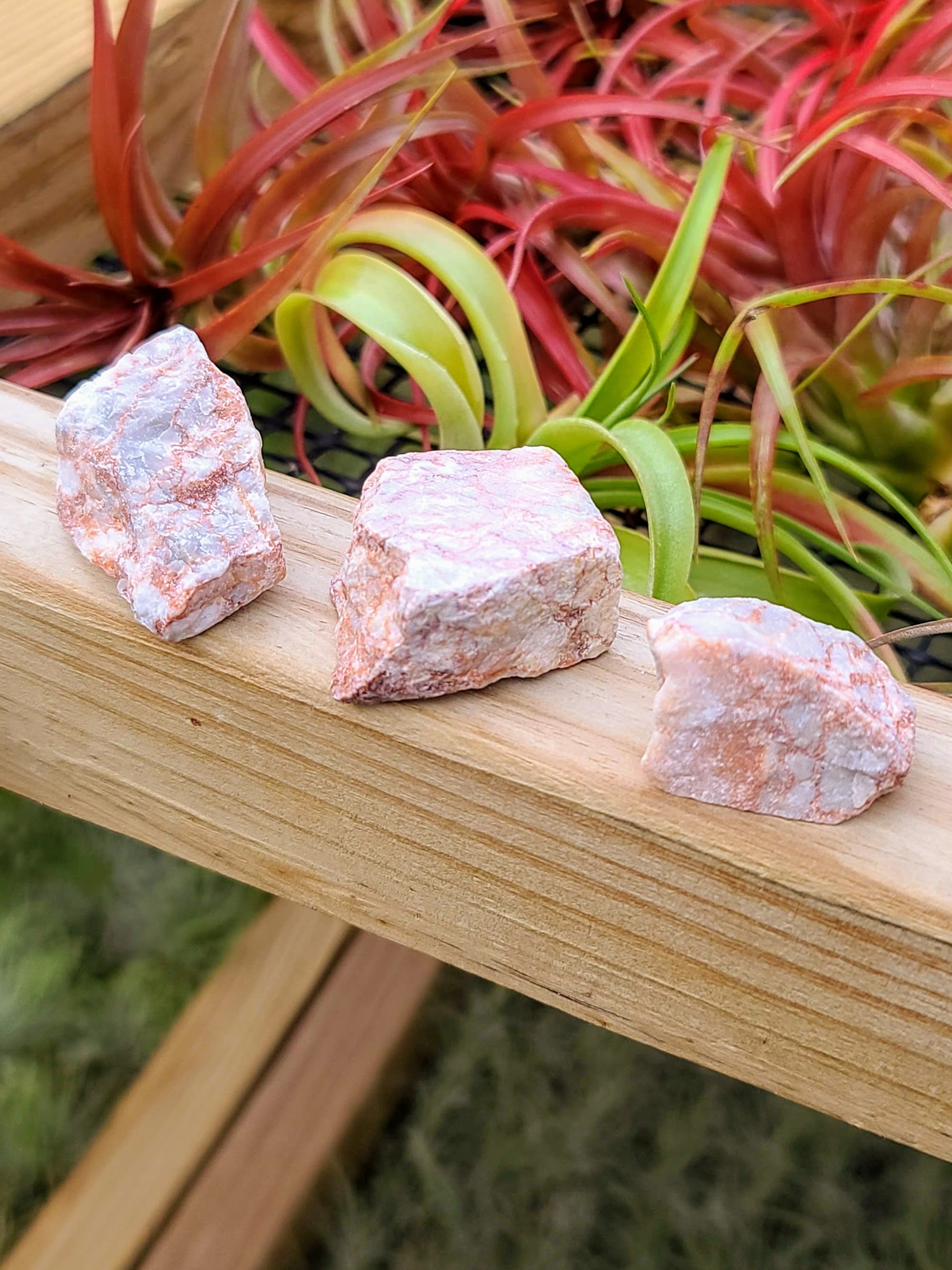 Red Spiderweb Jasper Raw Stone