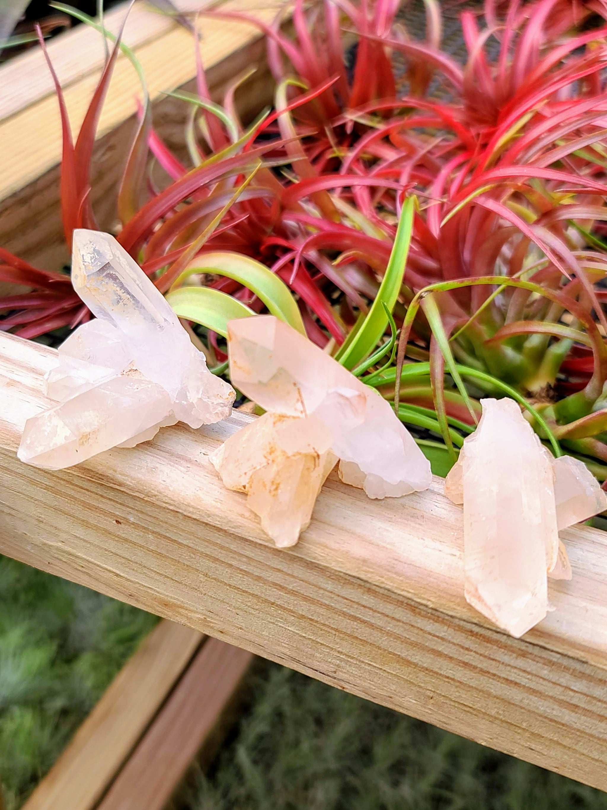 Quartz Point Cluster Raw Stone