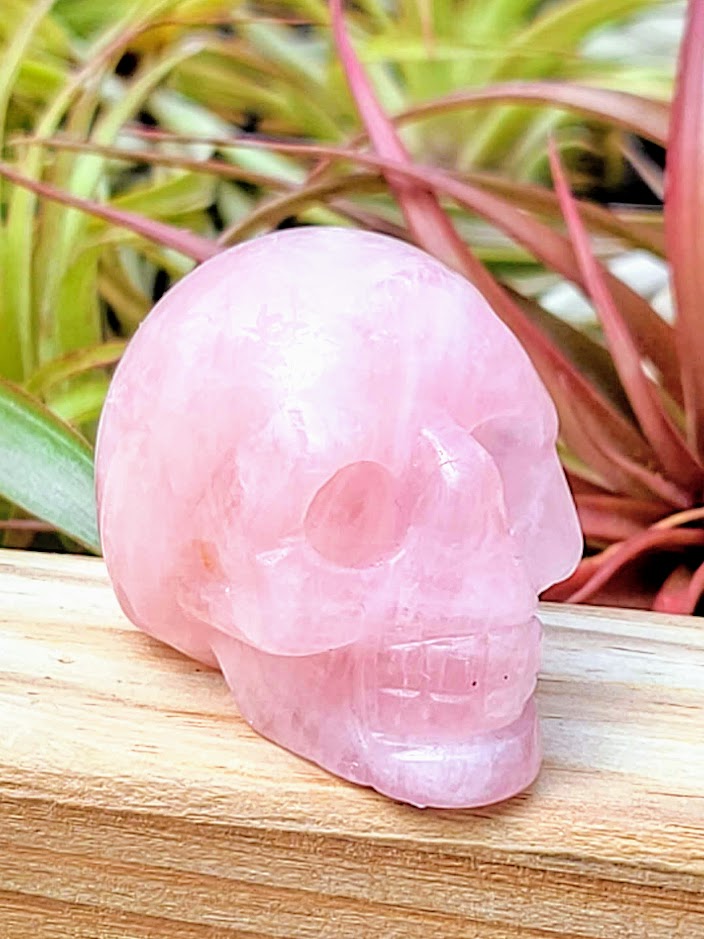 Medium Rose Quartz Skull Carving
