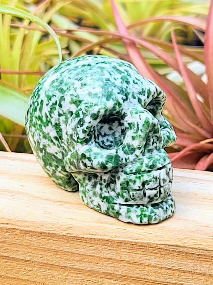 Medium Tree Agate Skull Carving