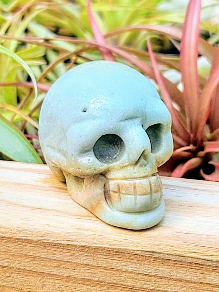 Medium Caribbean Calcite Skull Carving