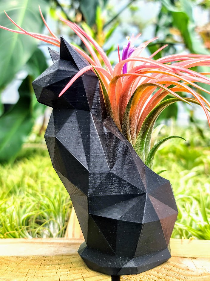 Large Metallic Black Cat 3D Printed Holder w/ Victoriana