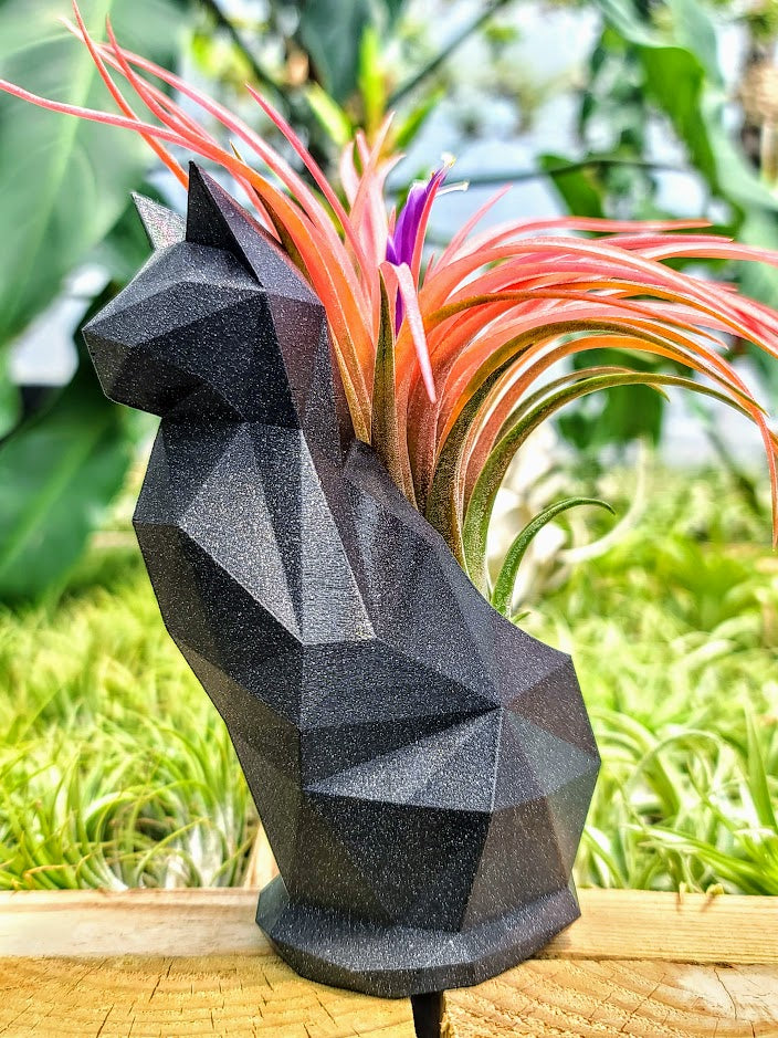 Large Galaxy Black Cat 3D Printed Holder w/ Victoriana