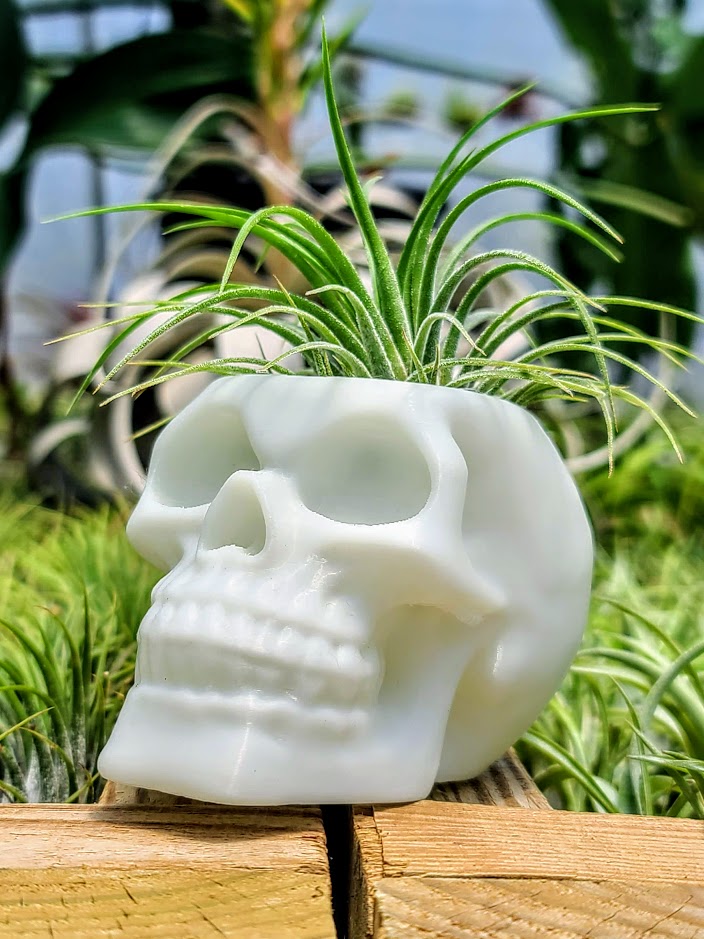 Glow In The Dark Skull 3D Printed Holder w/ Ionantha Druid
