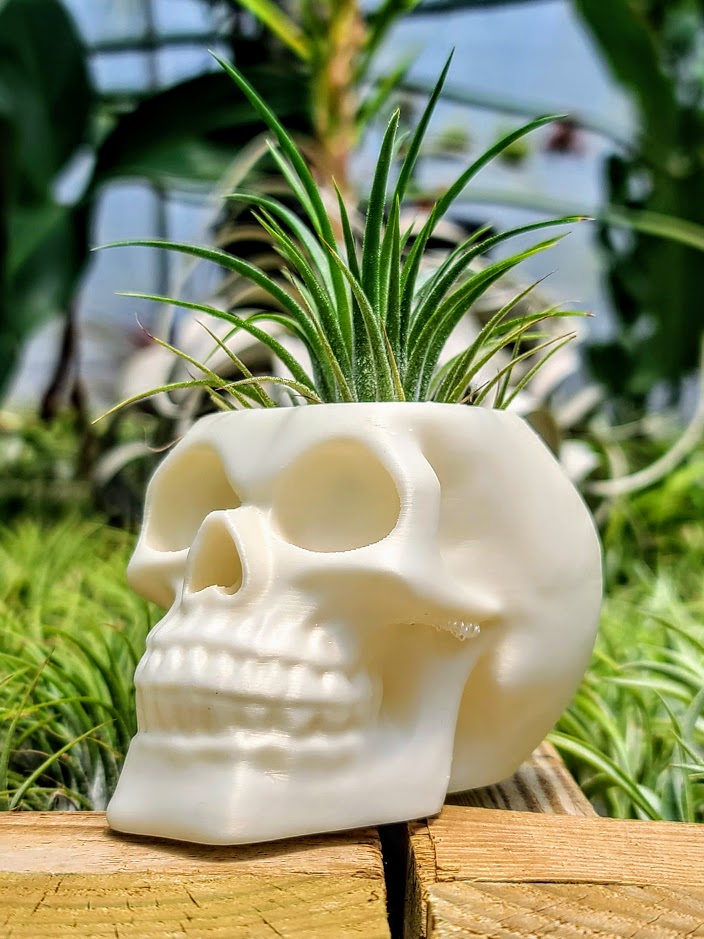 Pearl White Skull 3D Printed Holder w/ Ionantha Druid