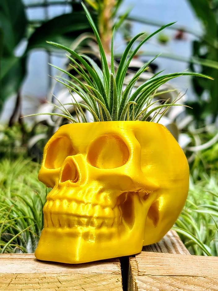 Yellow Skull 3D Printed Holder w/ Ionantha Druid
