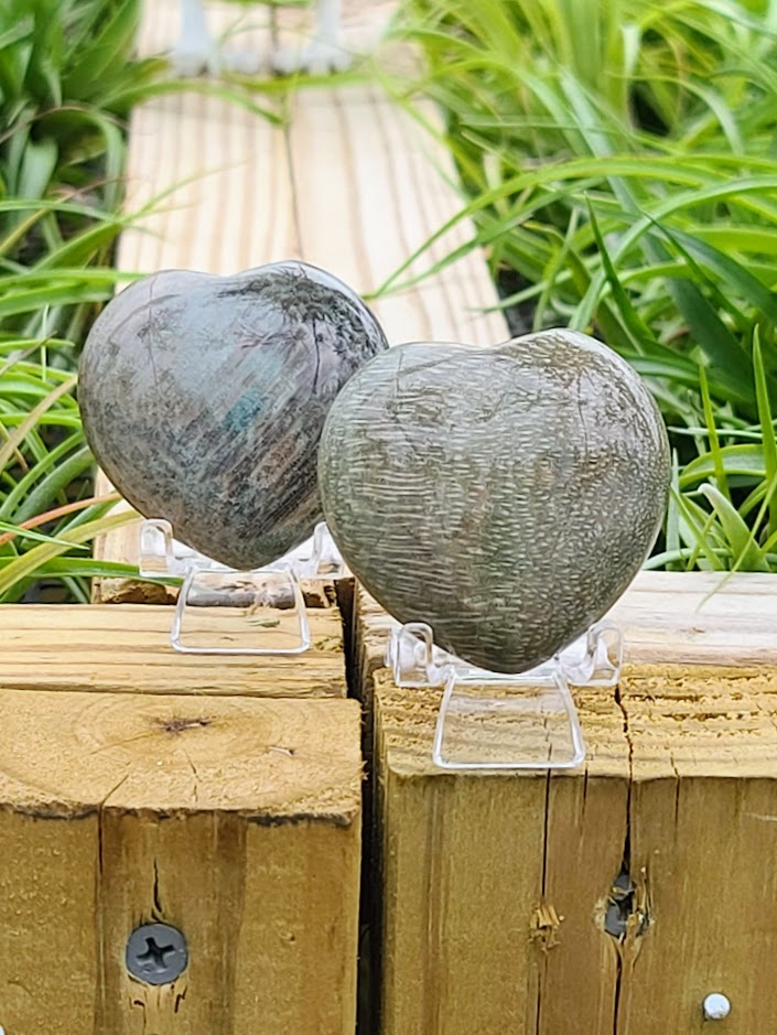 Fossil Coral Jade Crystal Heart