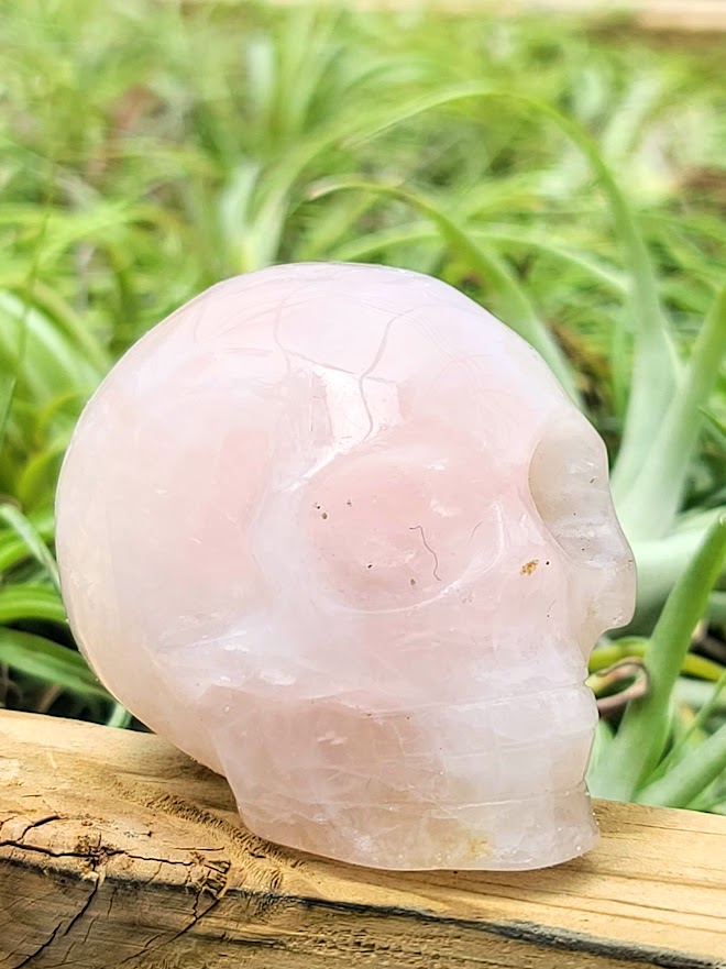 Large Rose Quartz Skull Carving