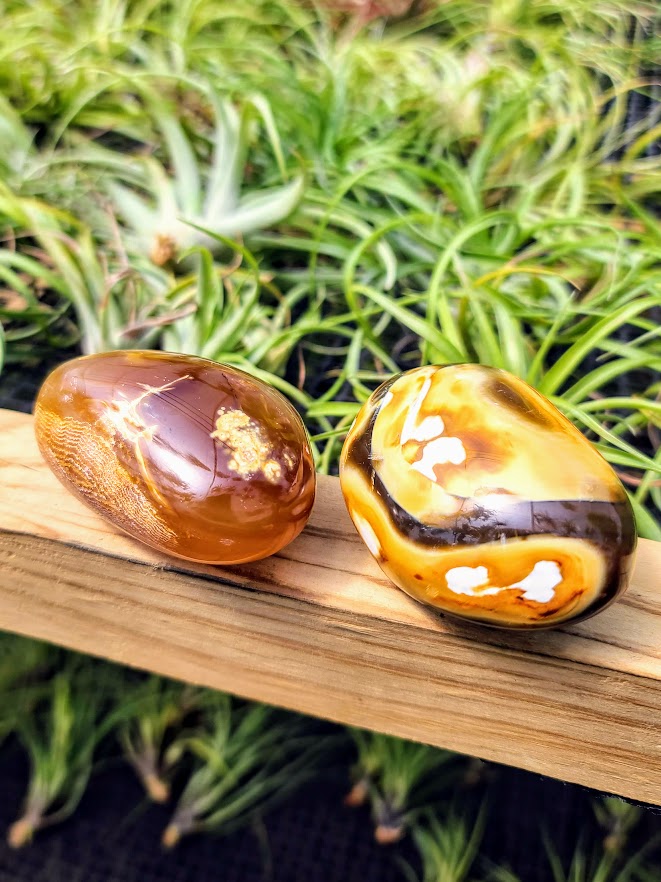 Orca Agate Crystal Palm Stone