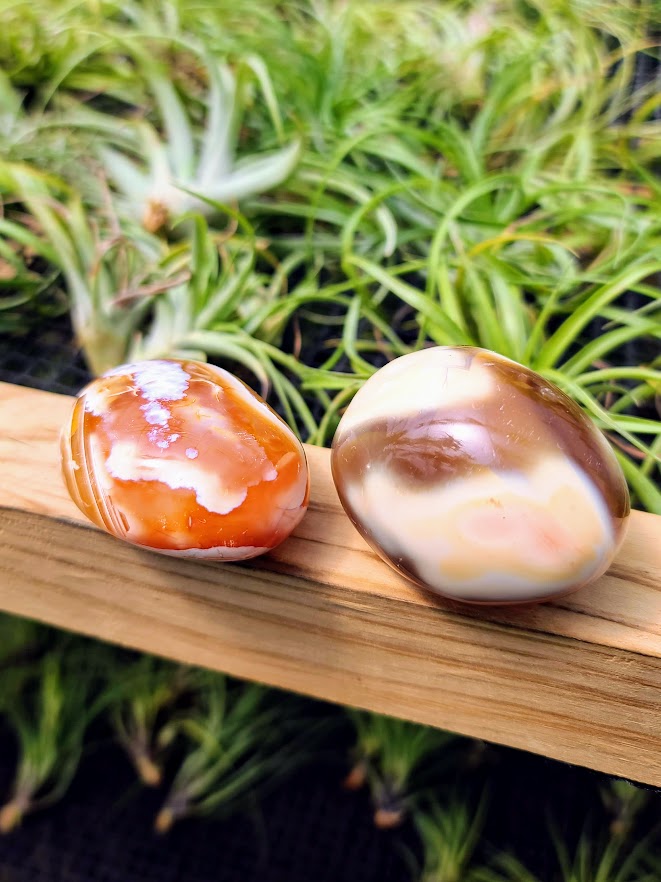 Orca Agate Crystal Palm Stone