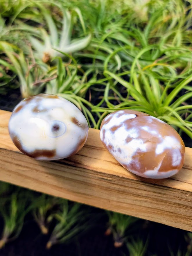 Orca Agate Crystal Palm Stone