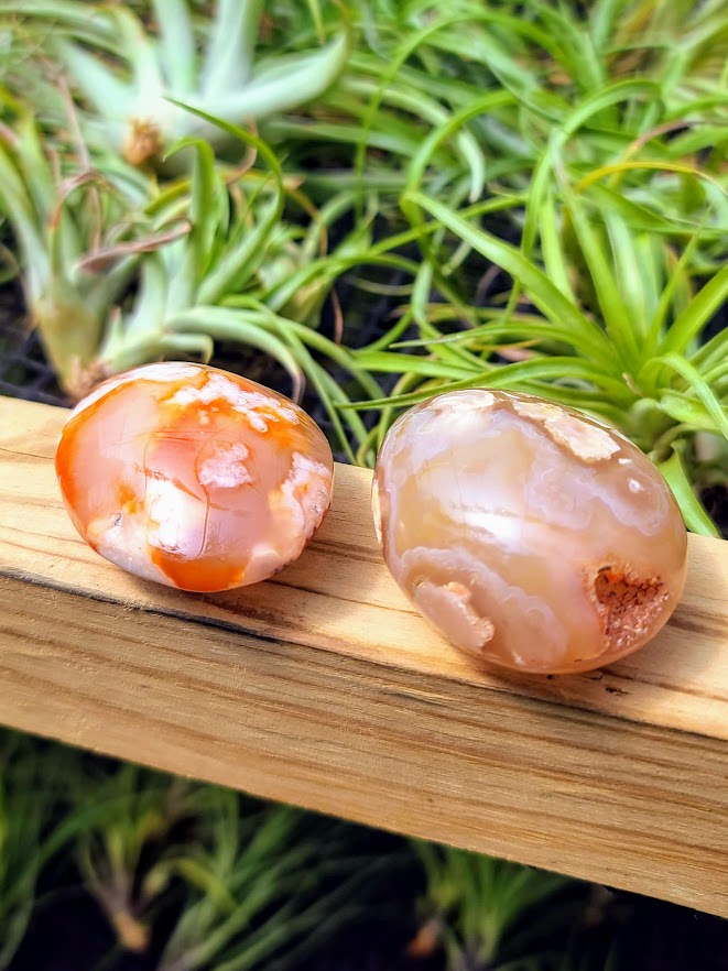 Red Flower Agate Crystal Palm Stone