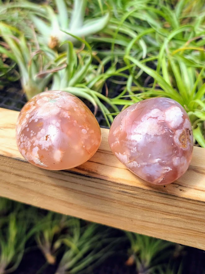 Flower Agate Crystal Palm Stone