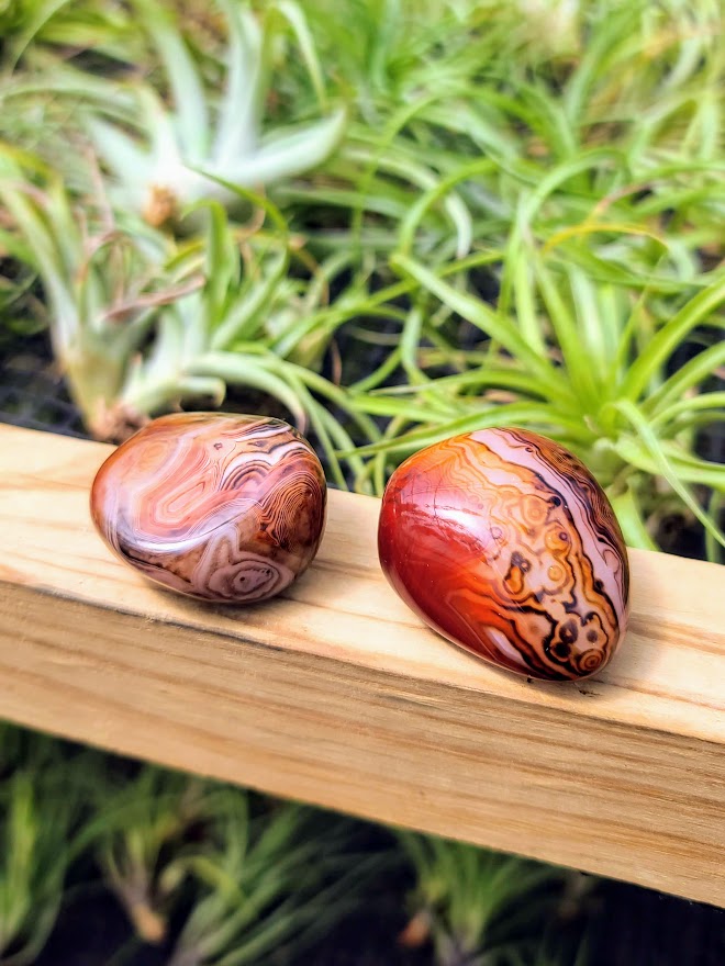 Sardonyx Crystal Palm Stone